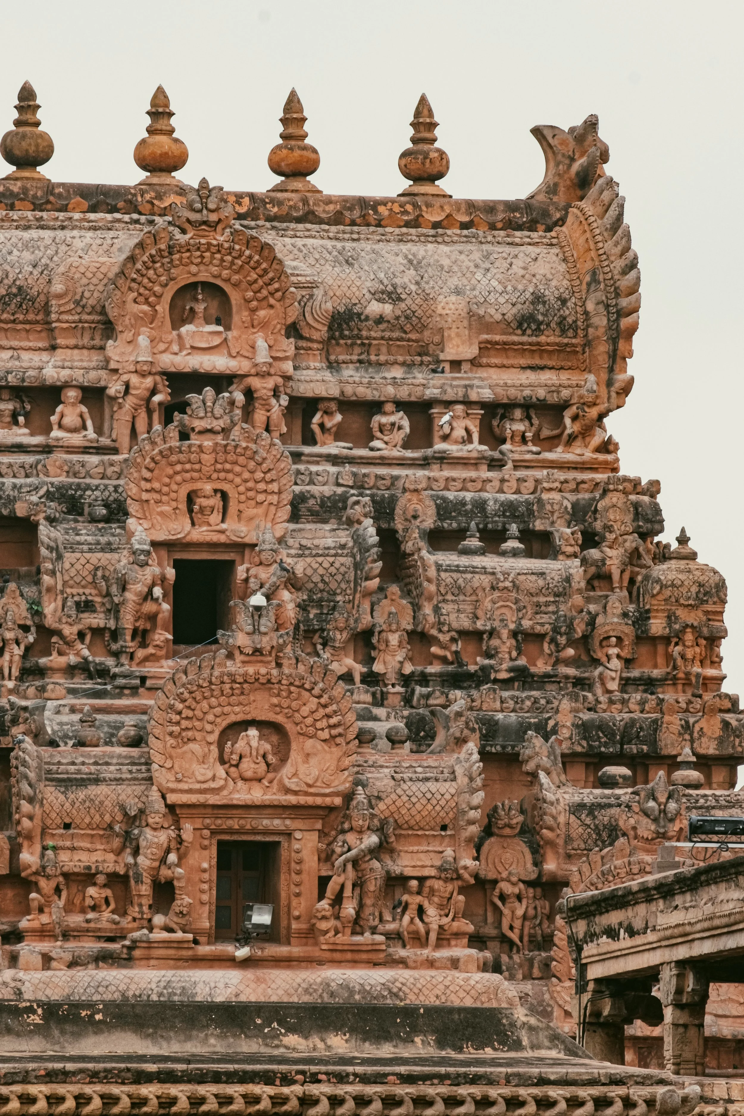India_Street_2024-33.jpg