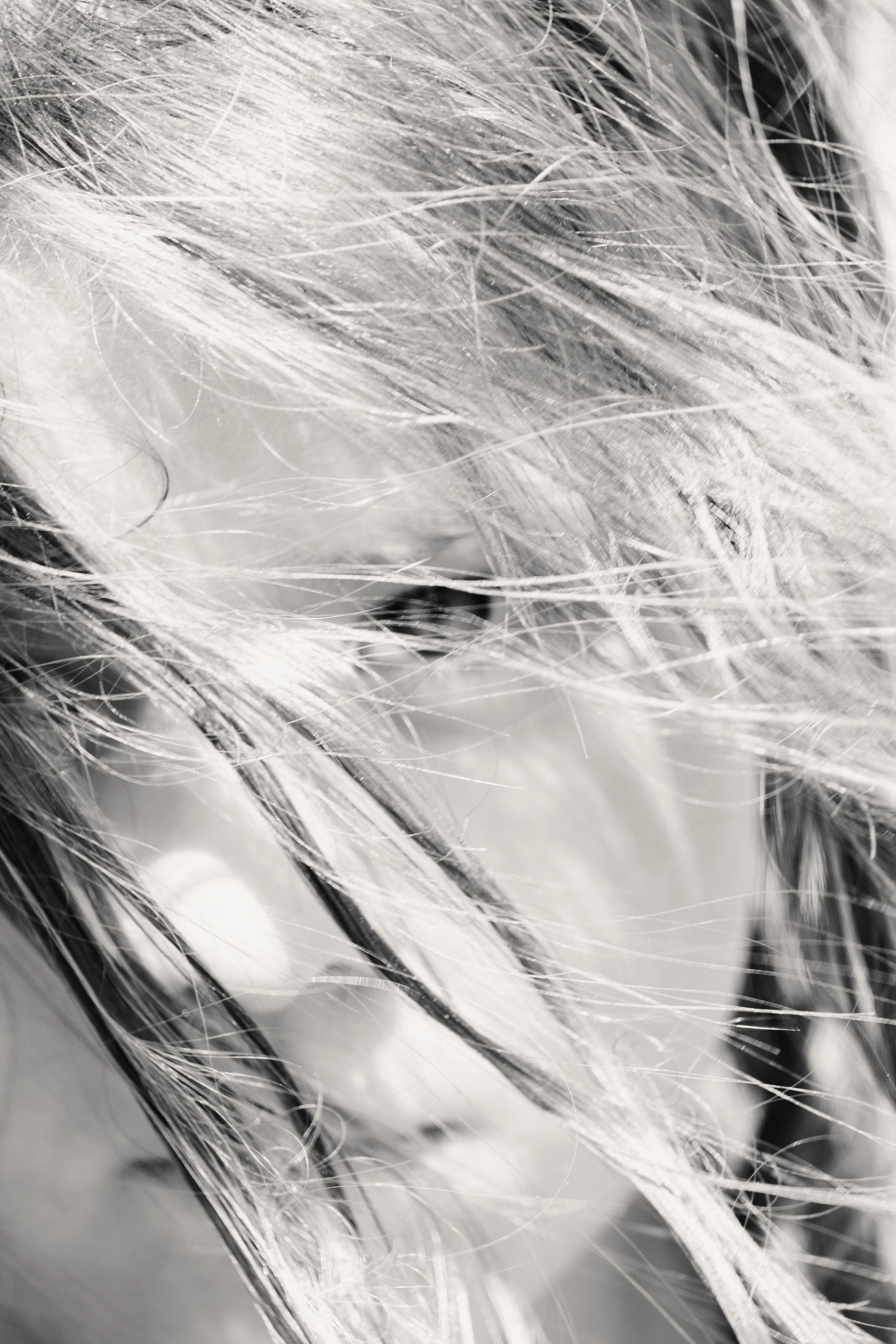 2025_Rhodes_Autres Familles_1-44.jpg