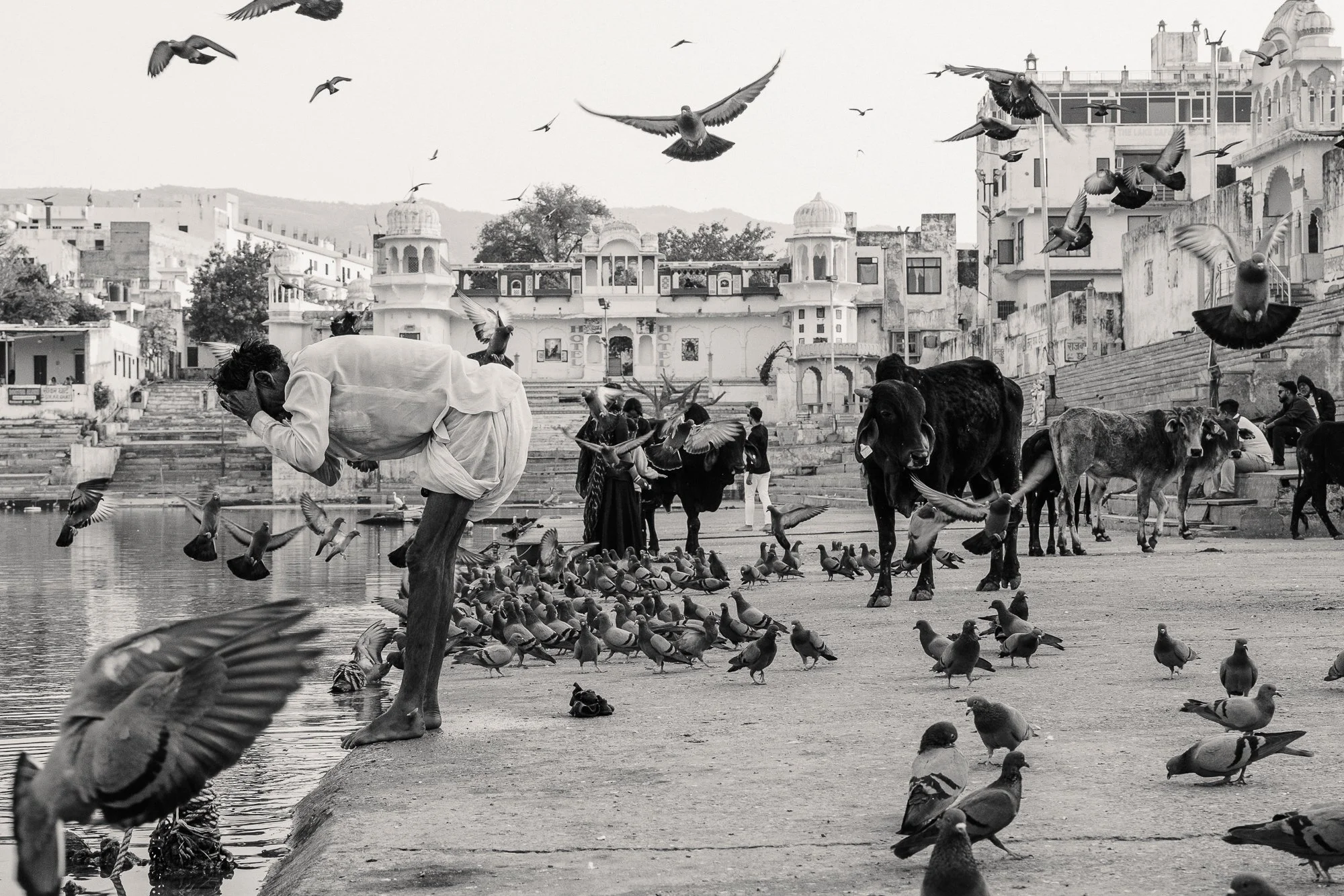 Djvn_SiteWeb_India_Tout-29.jpg