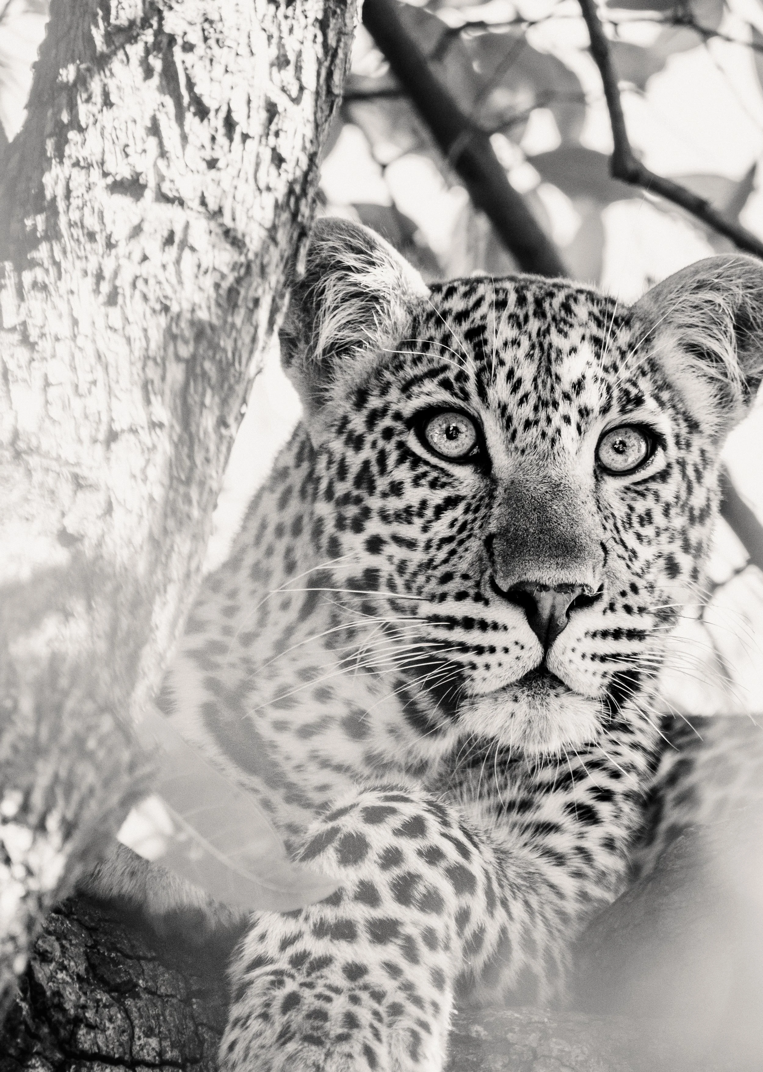 DJVN_Tanzanie_2023_Ecran-55.jpg