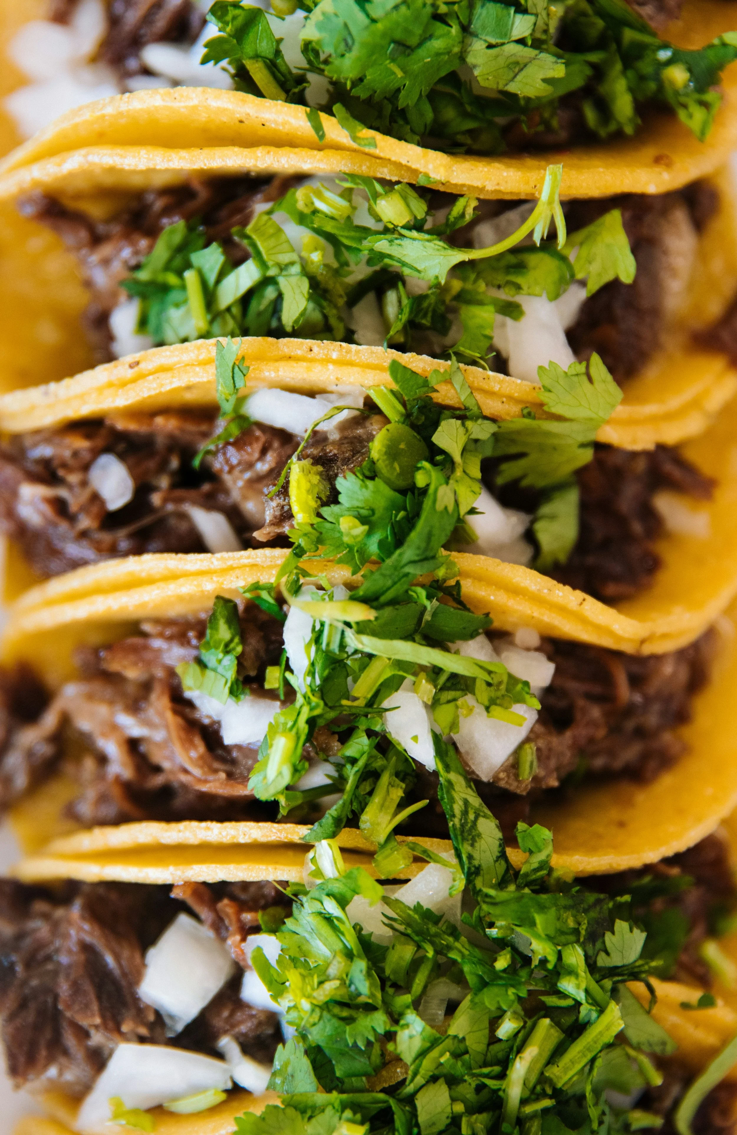 Mexican Night at The Tickell Arms