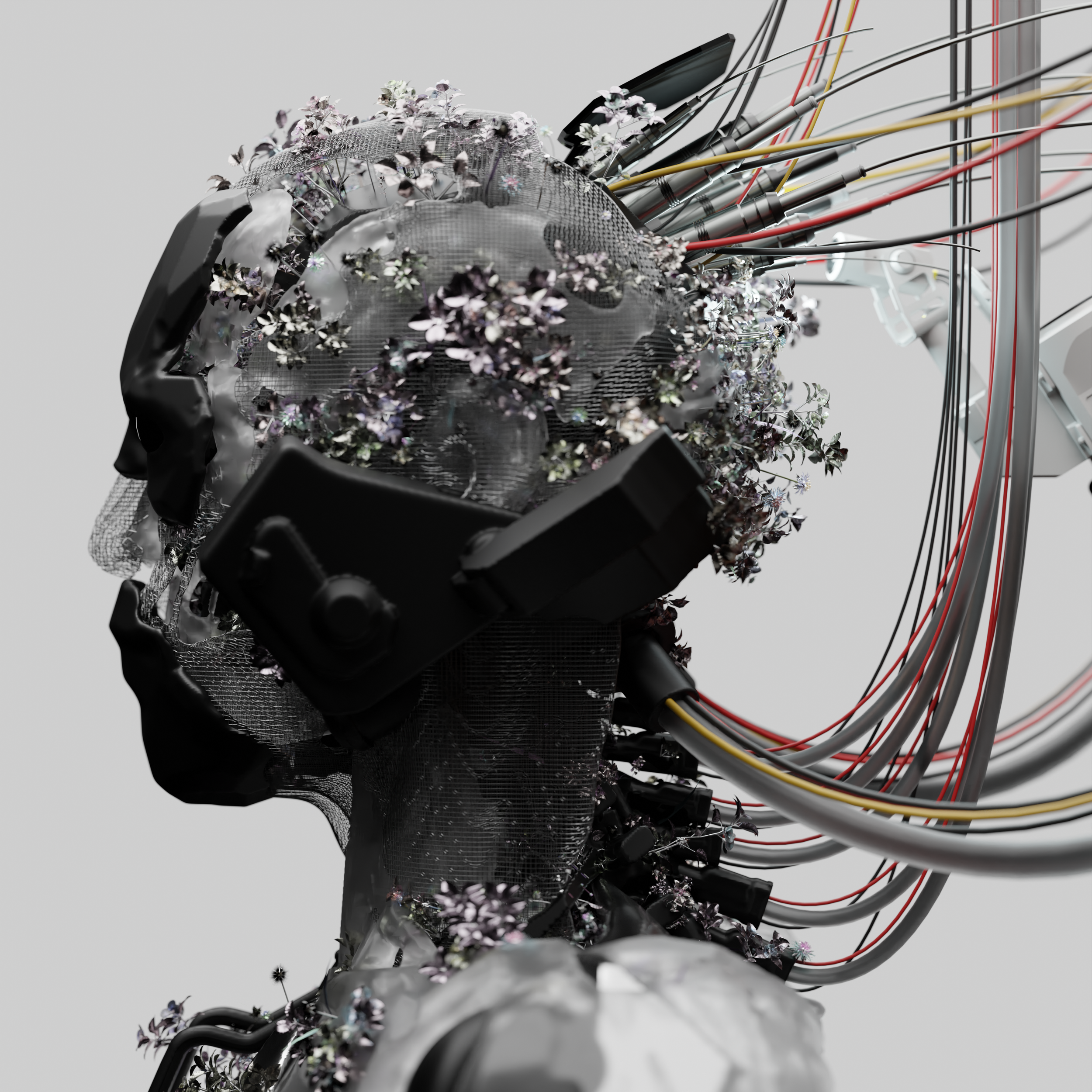 cover 2.png