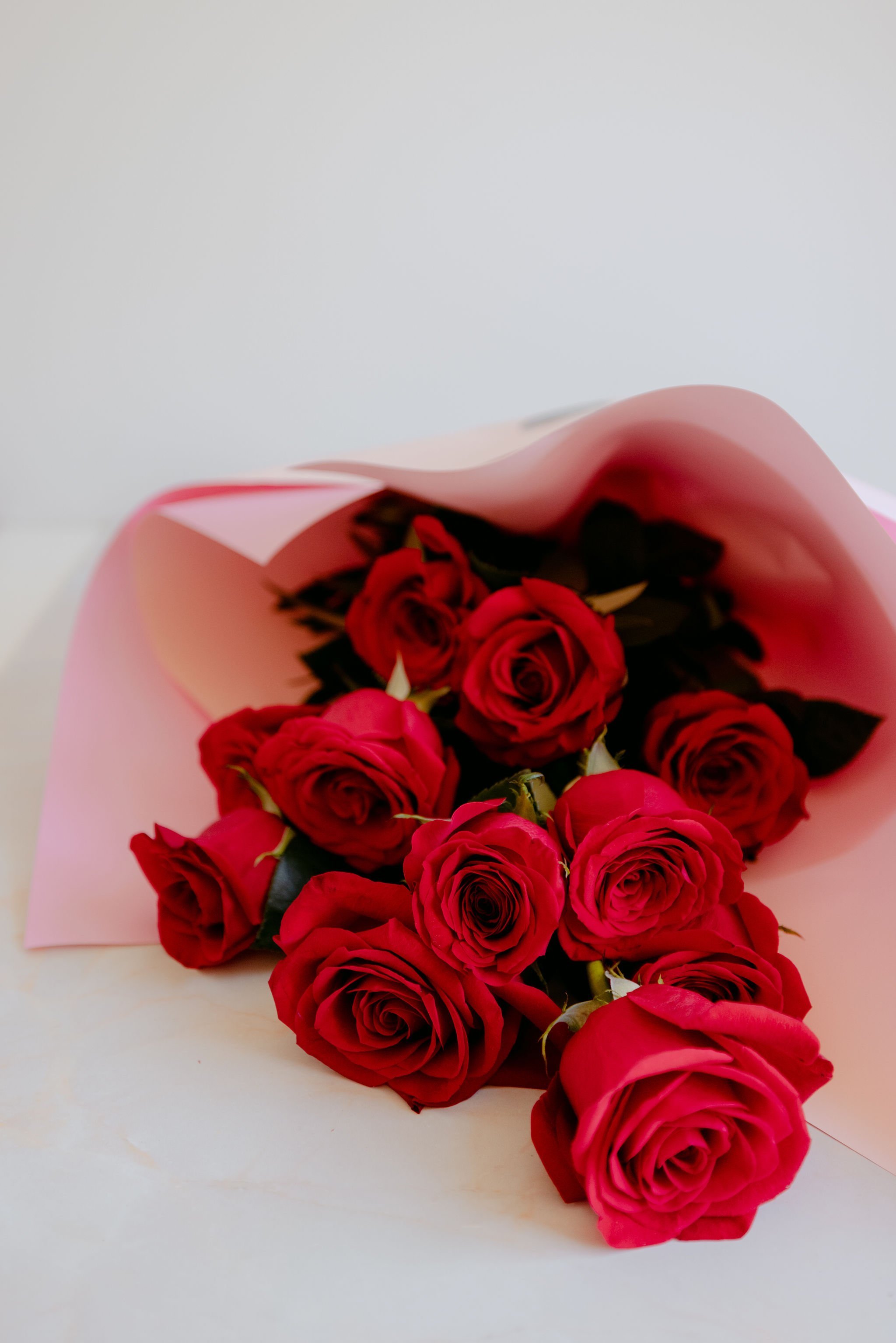 BiancaKatePhotography_Zest_Valentines23-007.jpg