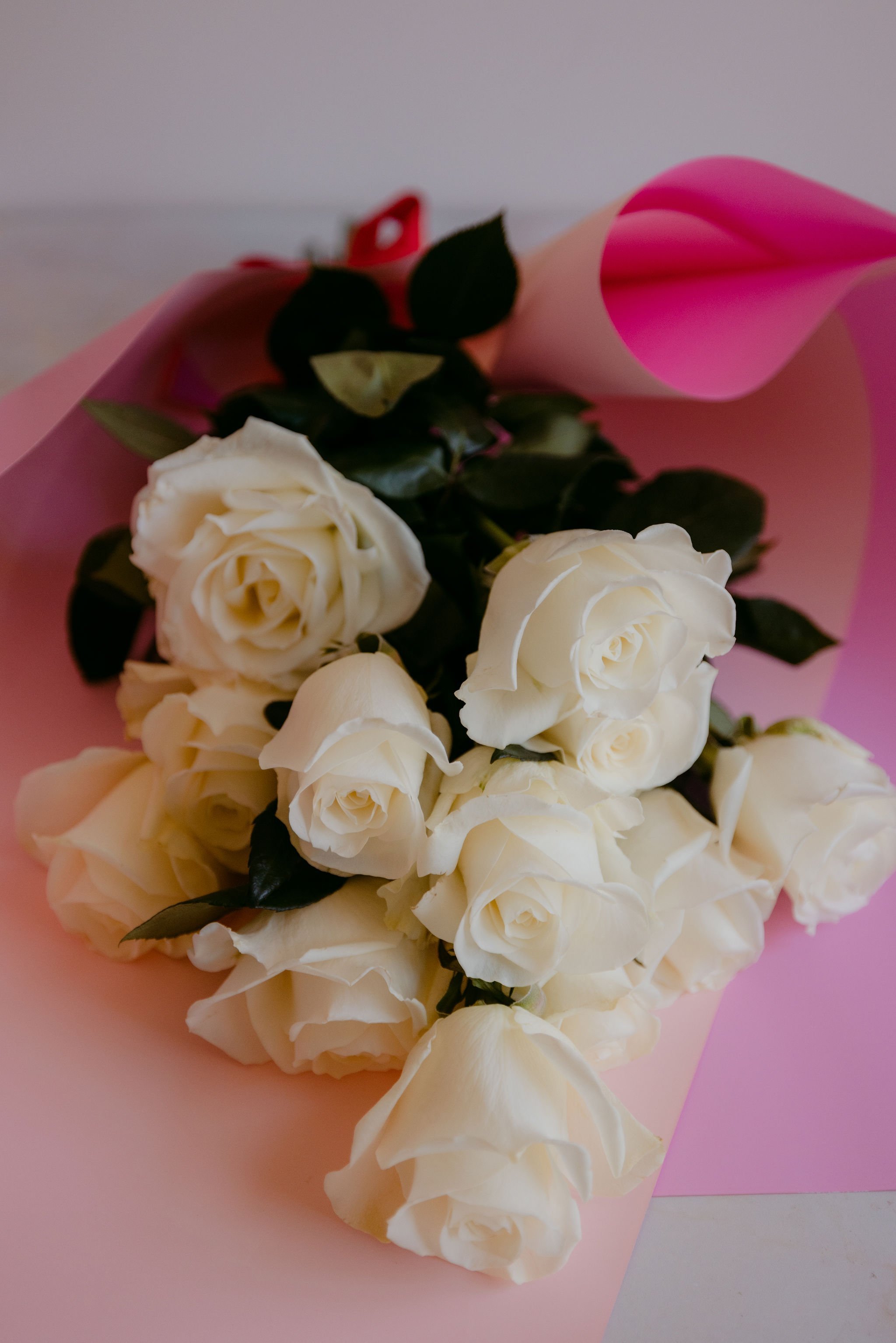 BiancaKatePhotography_Zest_Valentines23-026.jpg