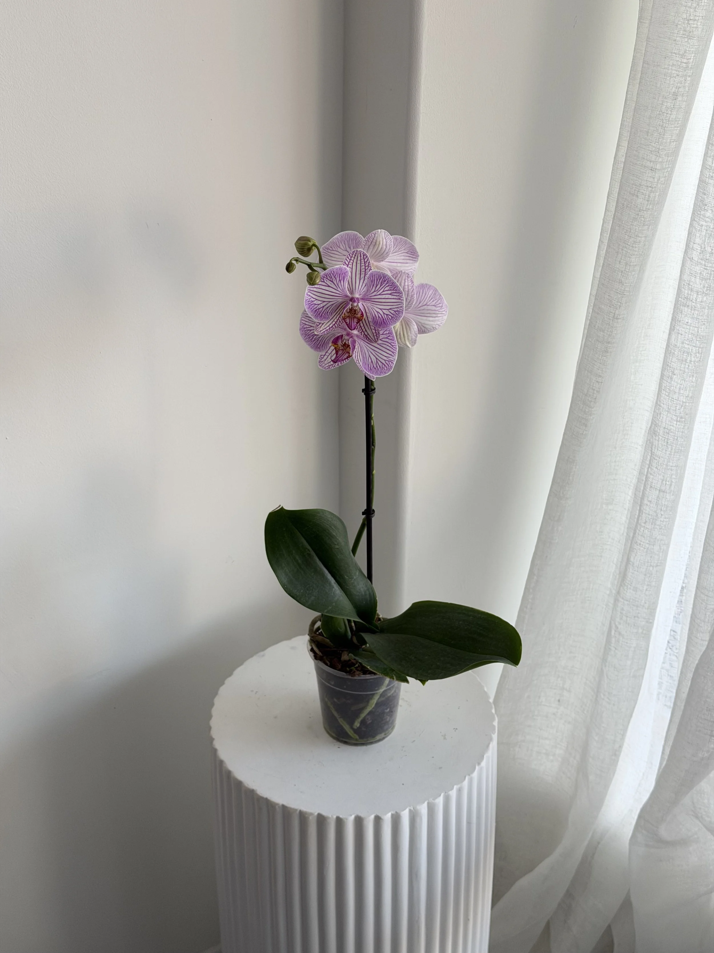 IMG_0448.jpeg