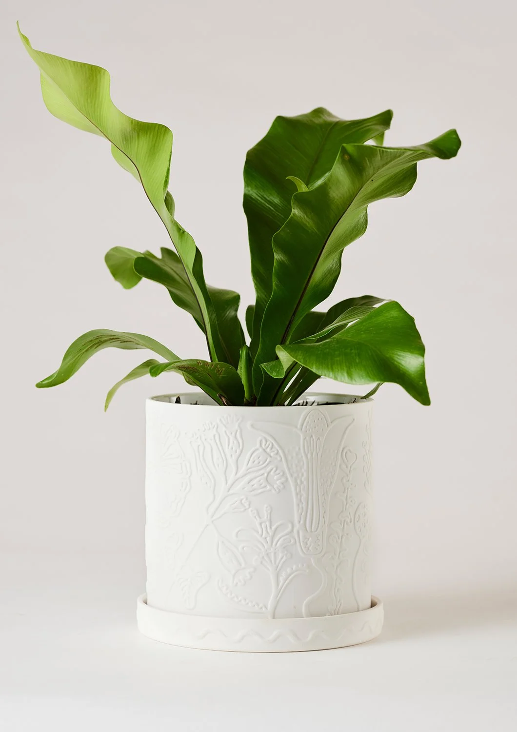 Callista-Plant-Pot-White-View-C.jpg