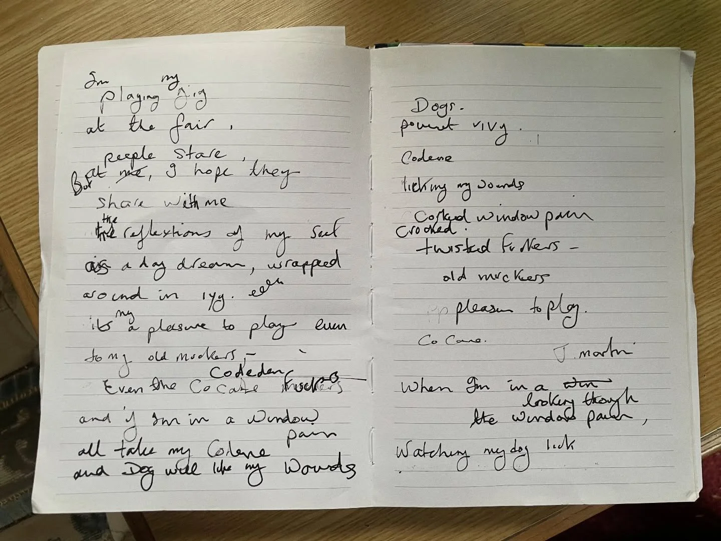 Somebody sat down at a show of mine in the summer scribbling things that pricked their ears as I performed. They showed me this after. 

And some lyrics to Circus Fantasia on slide 2 x