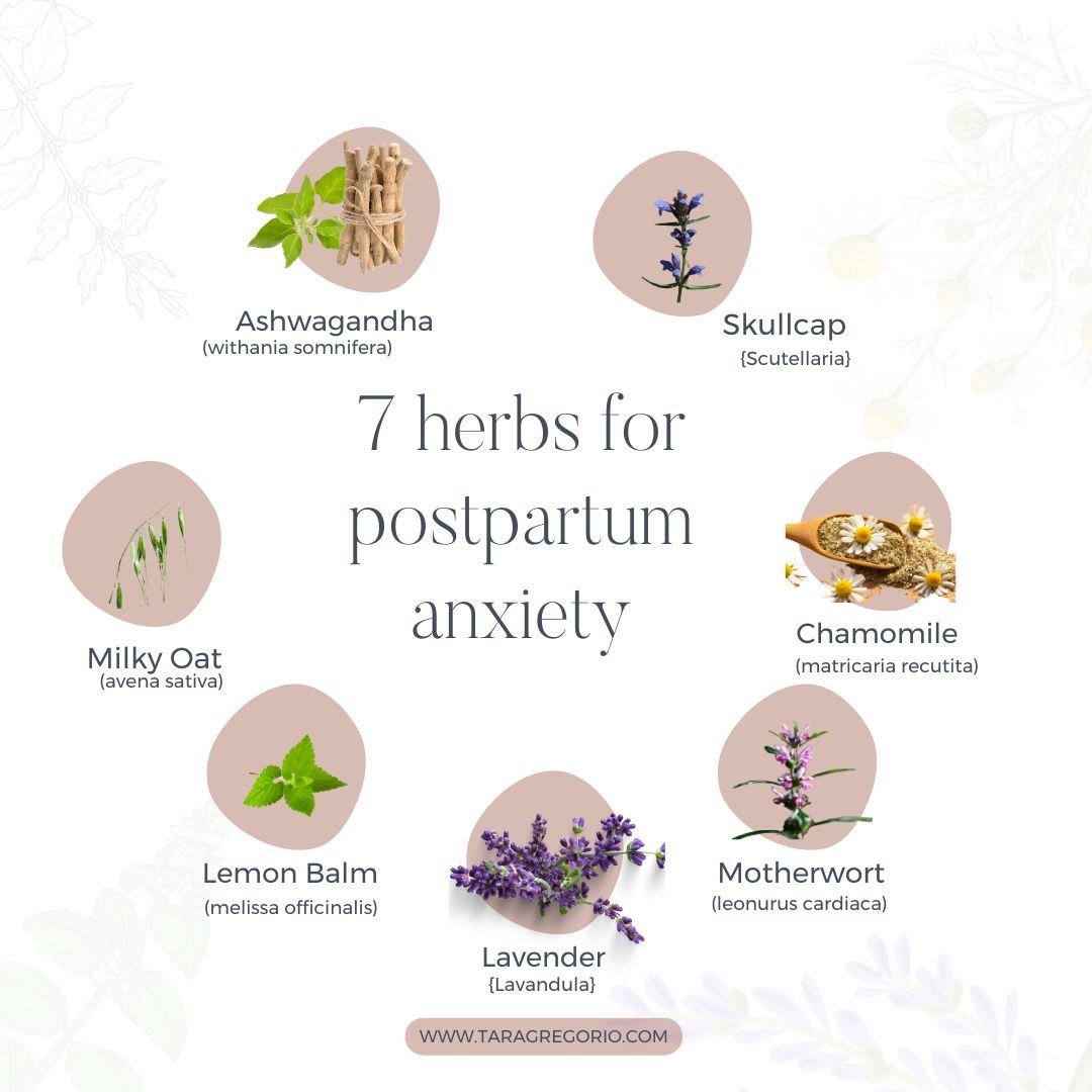 The secret to reducing postpartum anxiety is to calm your nervous system.⁠
.⁠
One way to do this is by incorporating Nervines.⁠
.⁠
What are Nervines?⁠
⁠
They're botanicals that calm your nervous system.⁠
⁠
When combined.. magic happens.⁠
.⁠
These are