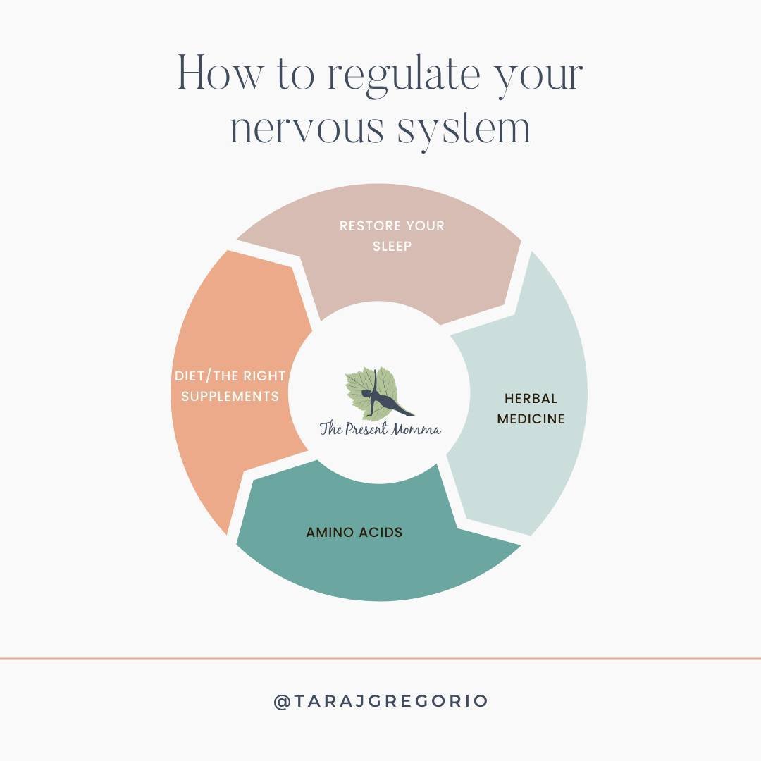 I've been saying &quot;nervous system regulation&quot; a lot.⁠
⁠
What exactly is this?⁠
⁠
It's the ability of your body to &quot;bounce back&quot; from trauma, fear, or even daily stress.⁠
⁠
====It's how your body comes out of &quot;fight or flight&q