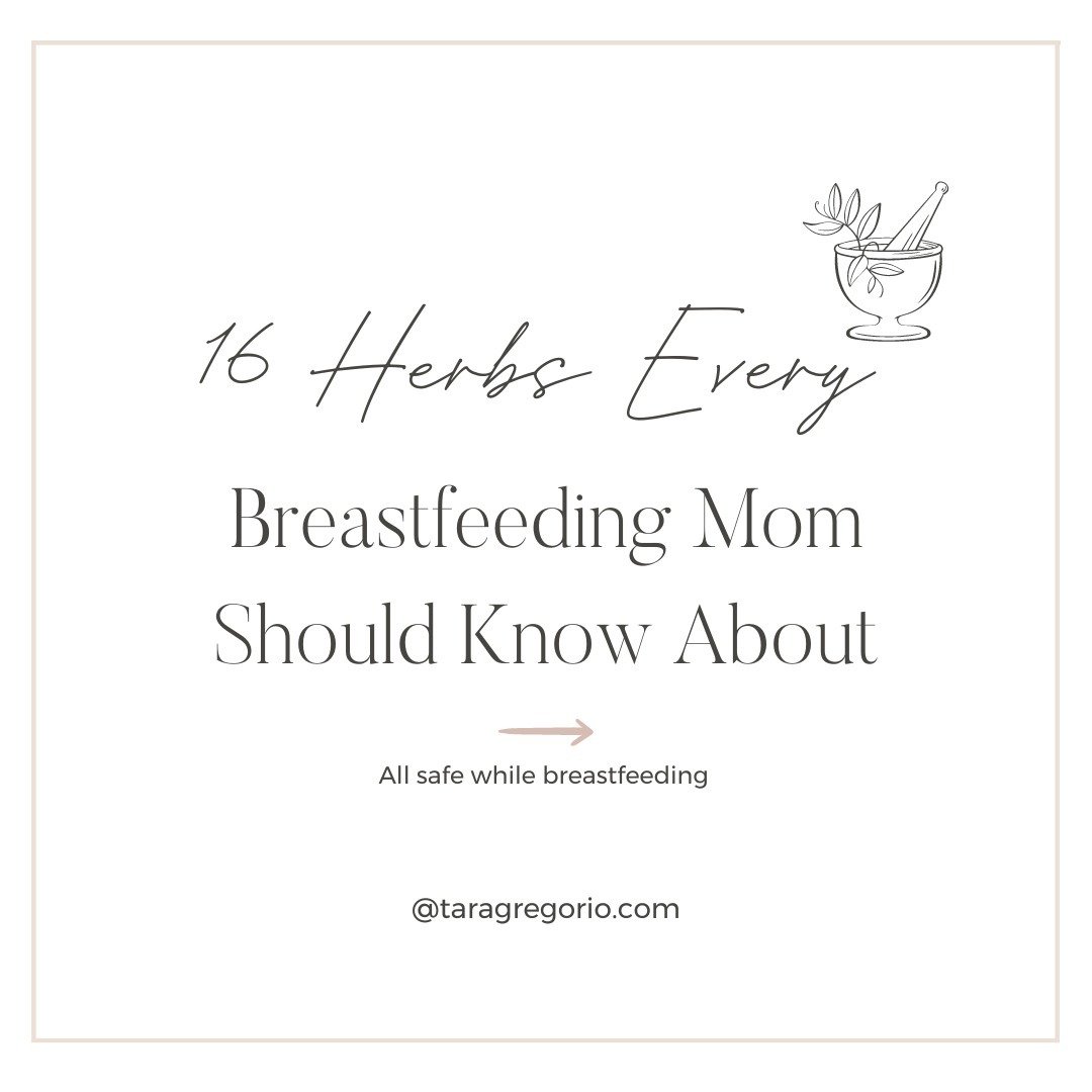 How you can use herbal medicine during the breastfeeding years?

We&rsquo;re talking about teas, tinctures, and homeopathy to reduce common symptoms you&rsquo;re experiencing. 

The thing is, it&rsquo;s easy to think:

❌I&rsquo;ll just search online 