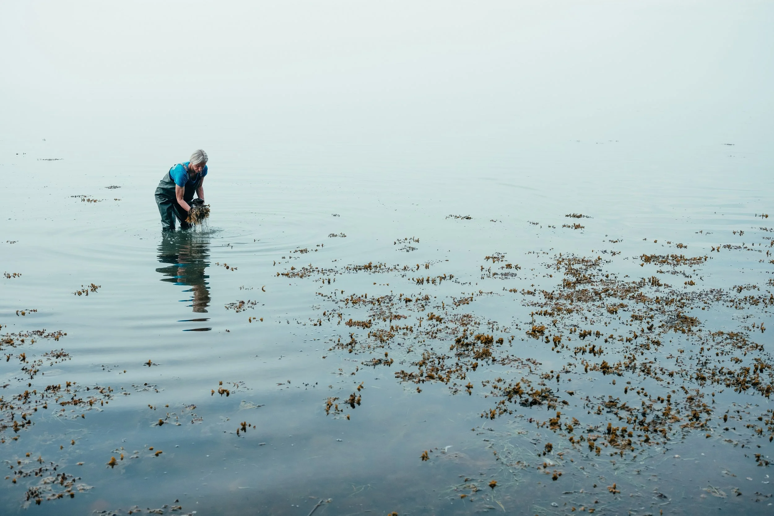 Citizen Science