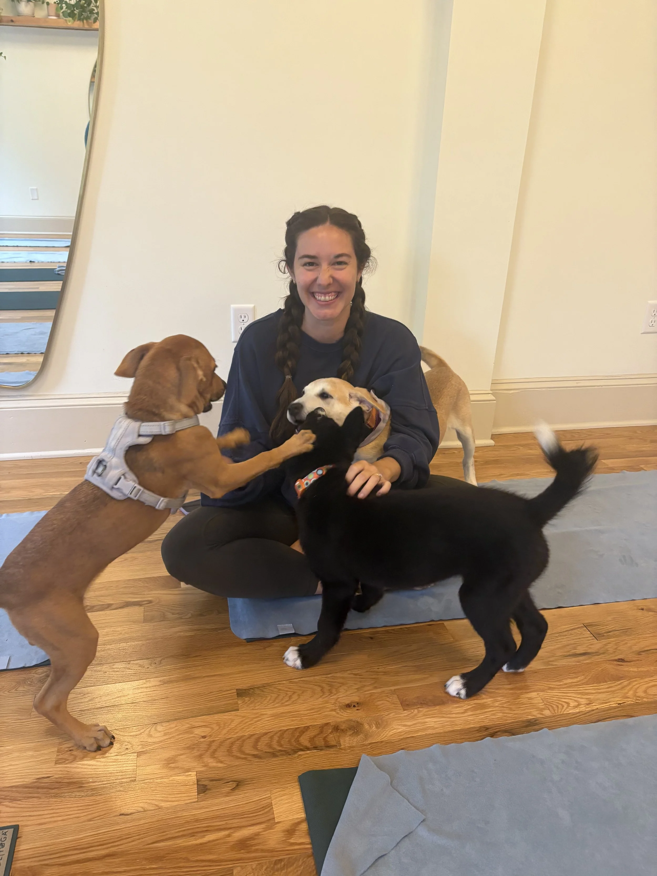 Core Work for a Cause: Donation-Based Mat Pilates Class to Support Beagles & Bentleys