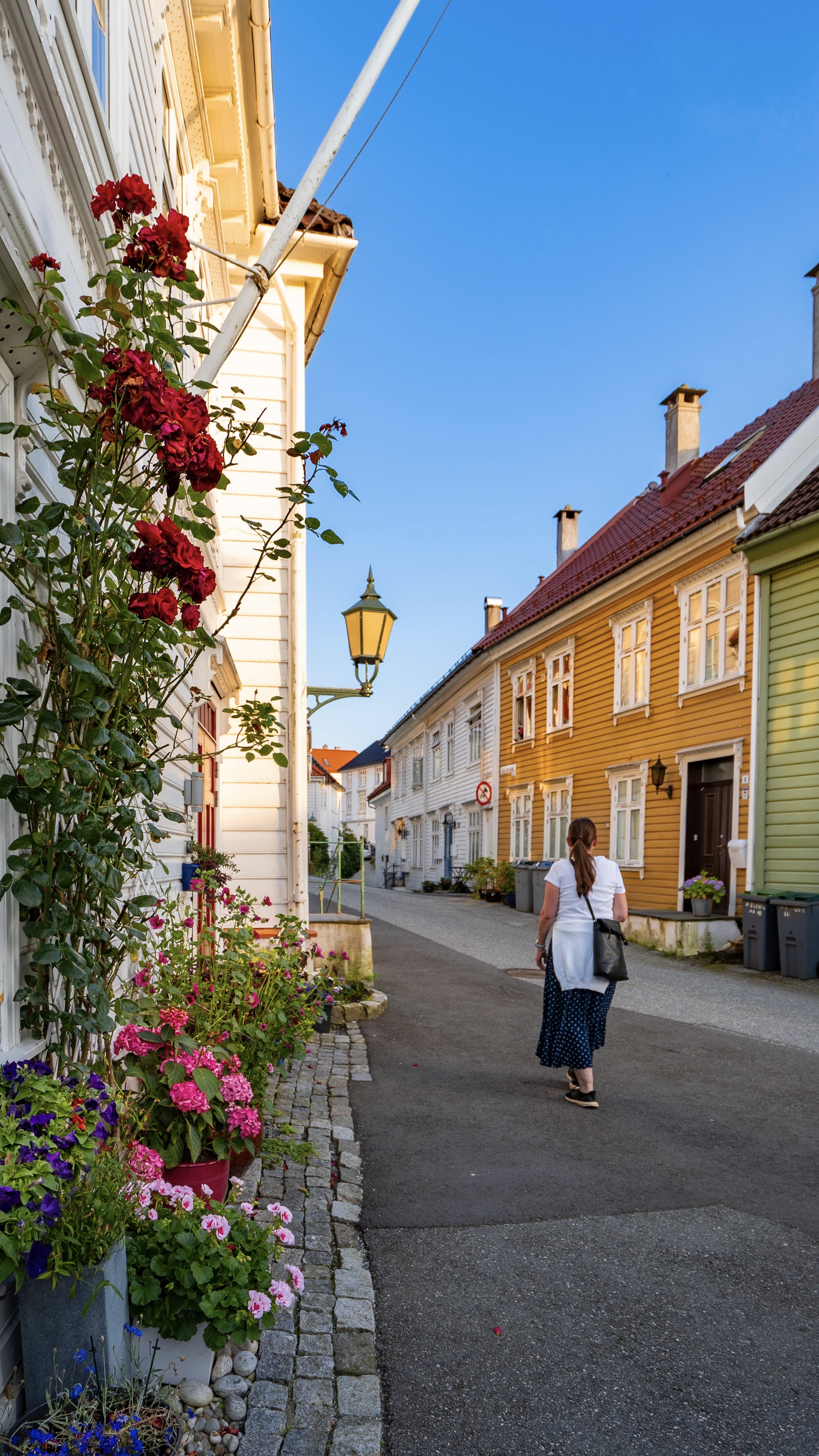 Bergensbilde. Foto: Anna T. Takle. PhotobyTakle