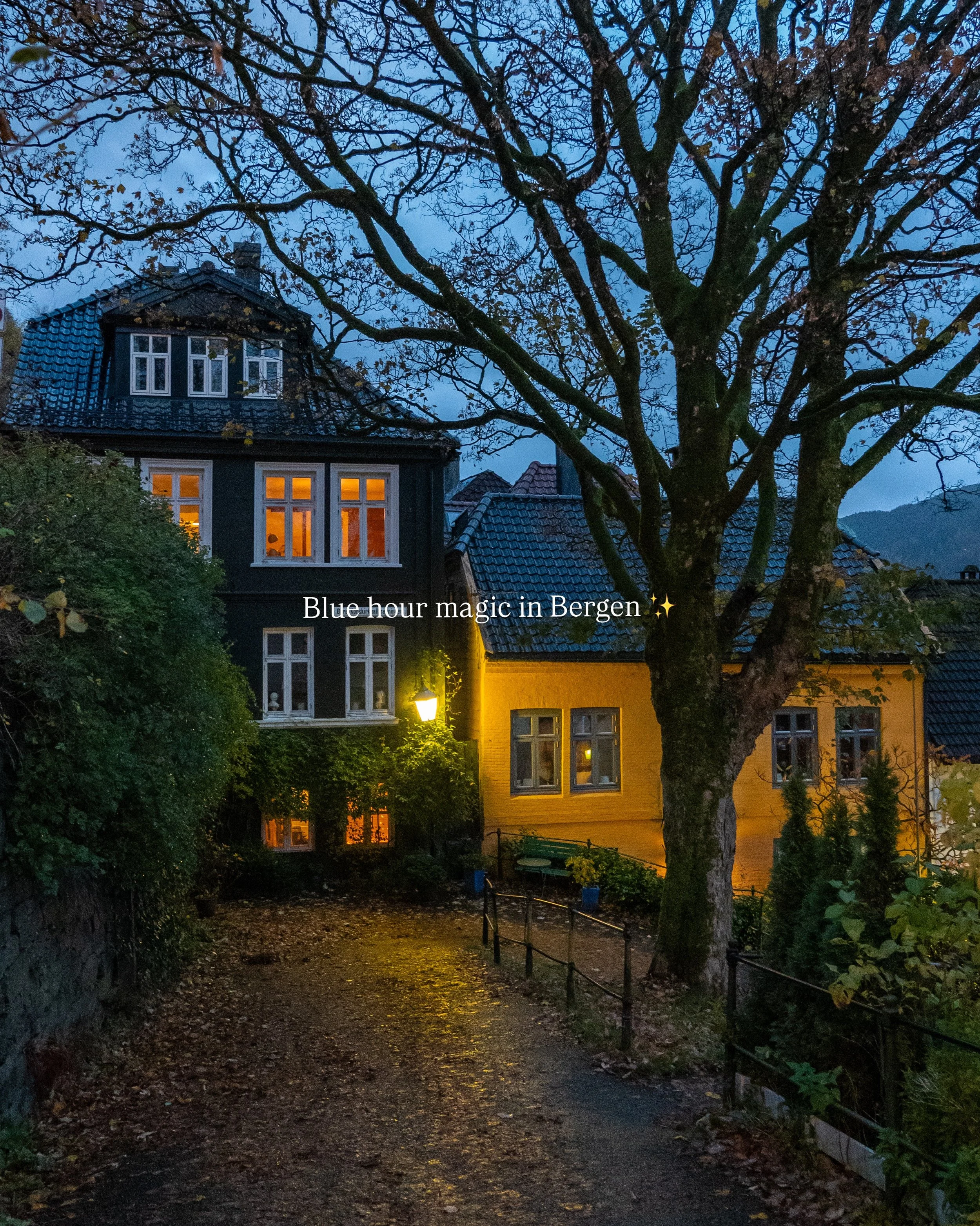 Blue hour magic in Bergen ✨🍂

#visitbergen #visitnorway #norway #bergen 

Blue hour magic in Bergen ✨🍂

#visitbergen #visitnorway #norway #bergen 

Blue hour magic in Bergen ✨🍂

#visitbergen #visitnorway #norway #bergen 

Blue hour magic in Bergen