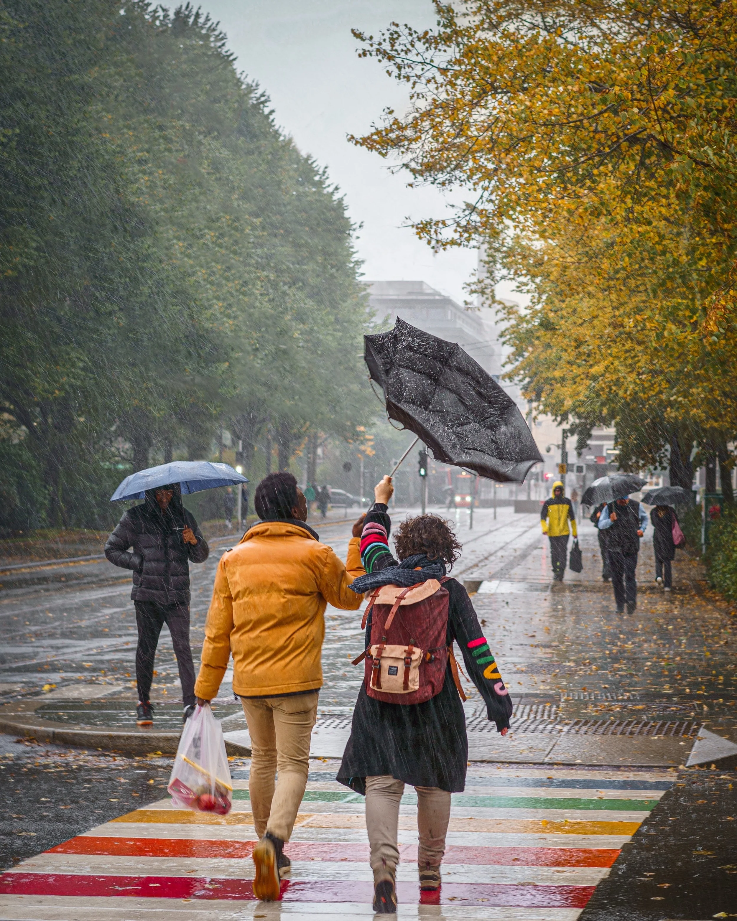 ☔️🍂

#visitbergen #visitnorway #bergen #norway