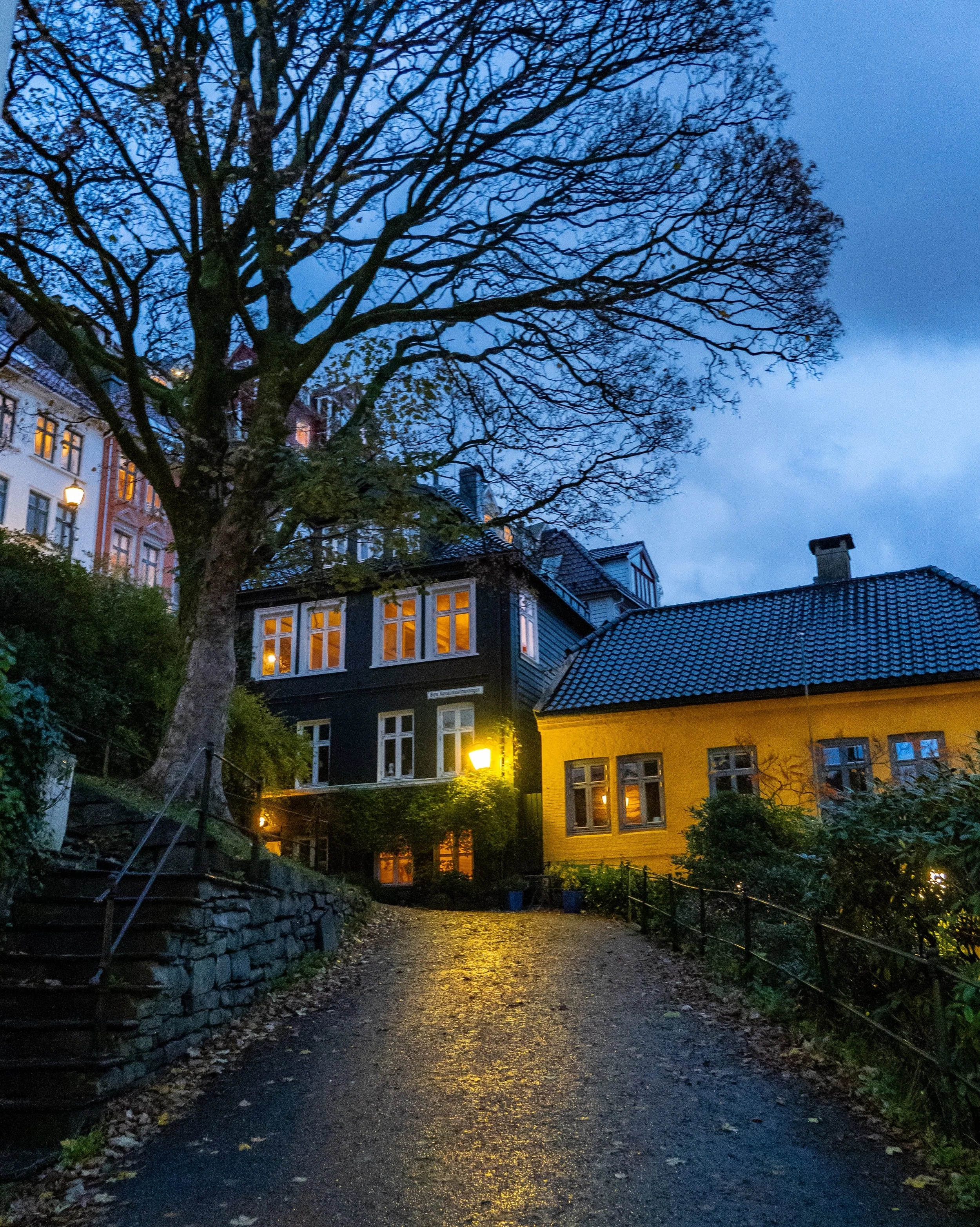 ✨🍂

#bergen #norway #visitbergen #visitnorway