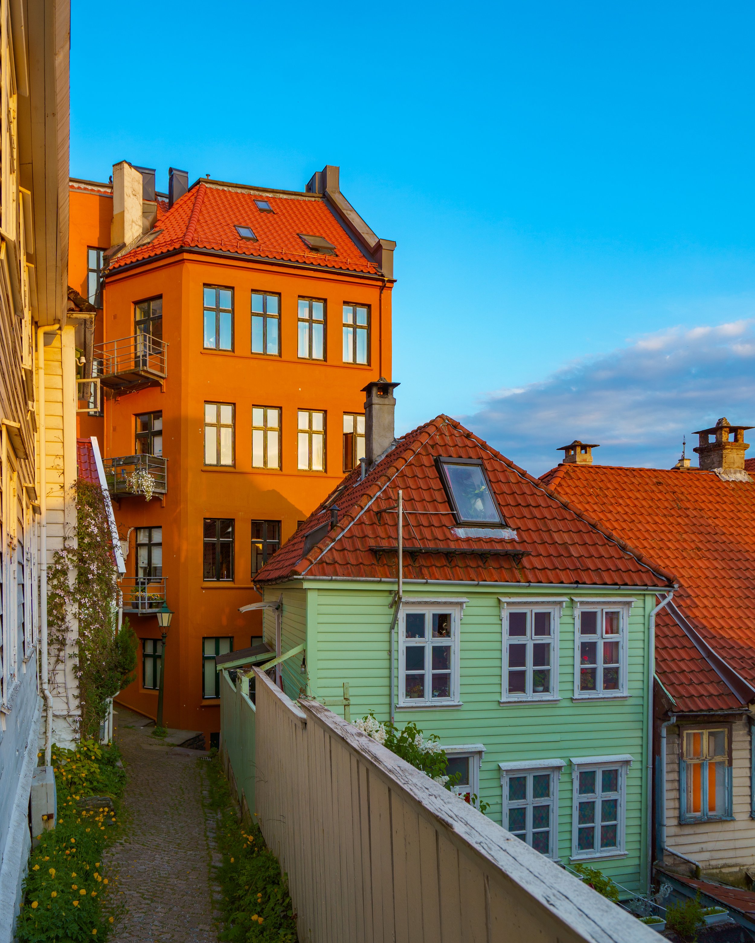 Bergensbilde. Foto: Anna T. Takle. PhotobyTakle