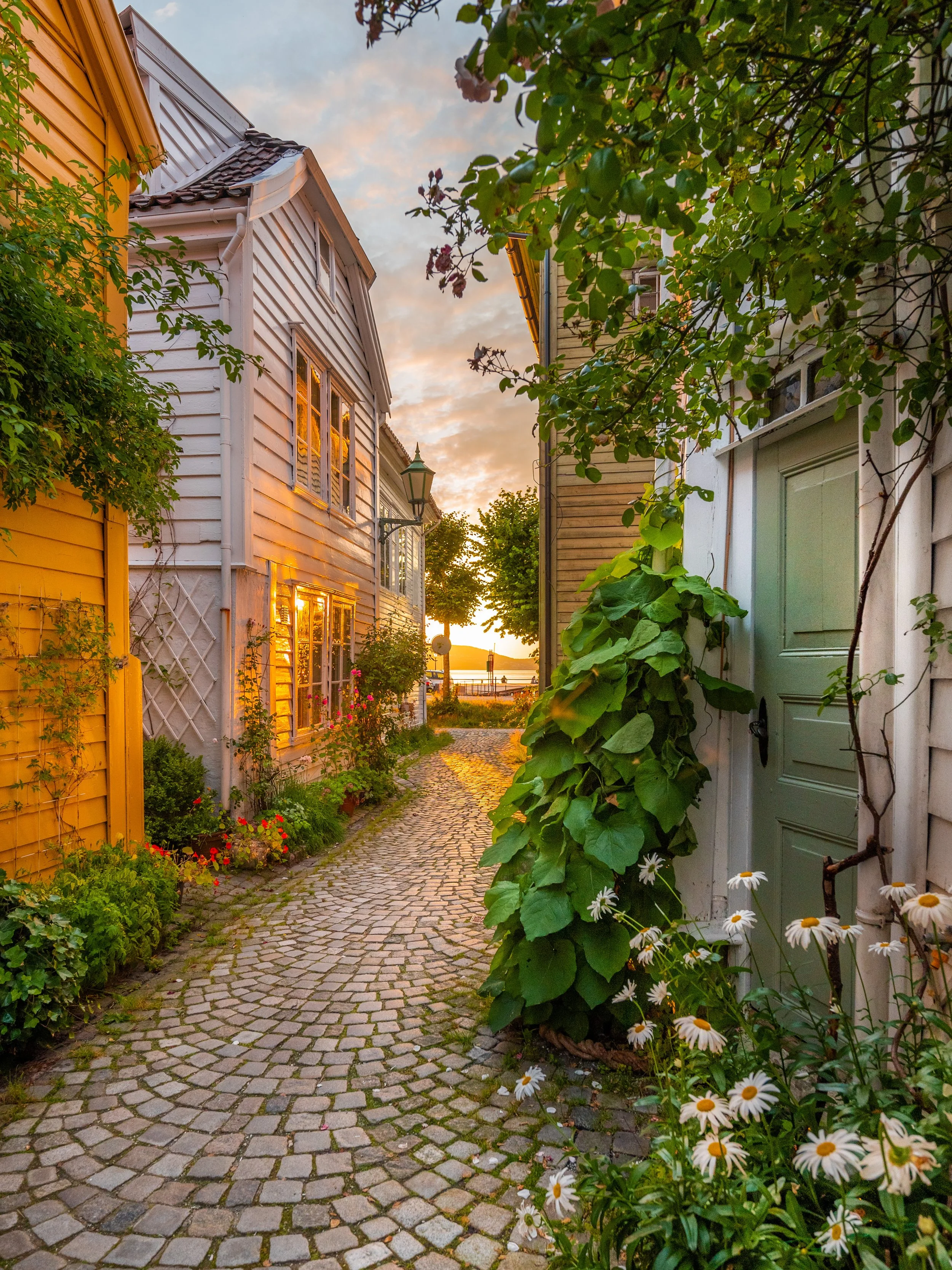 Bergensbilde. Foto: Anna T. Takle. PhotobyTakle