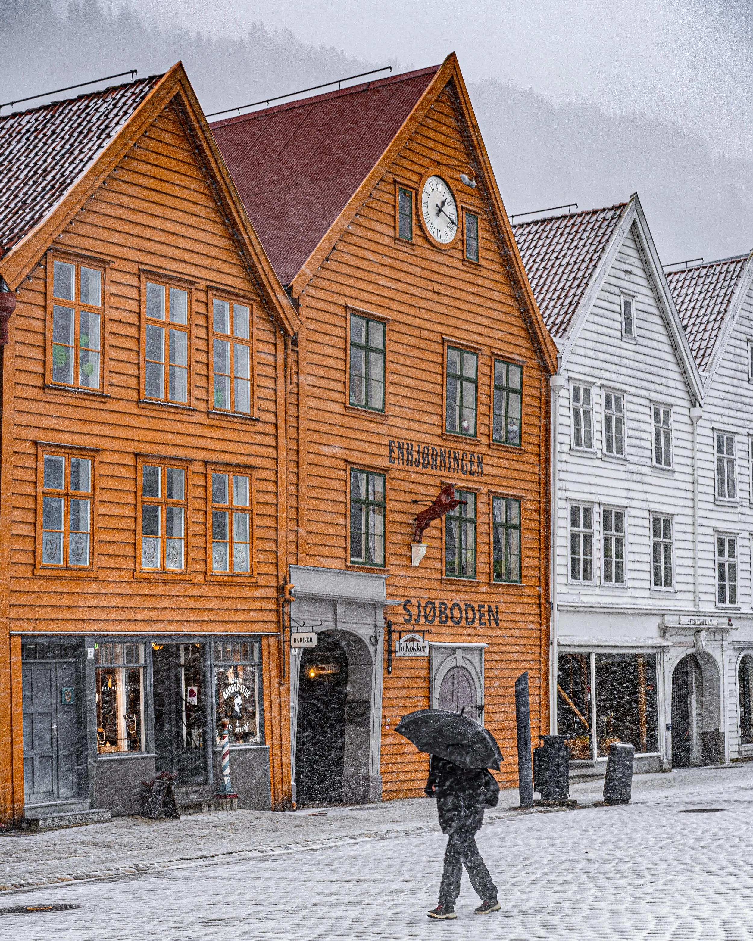 Bergensbilde. Foto: Anna T. Takle. PhotobyTakle