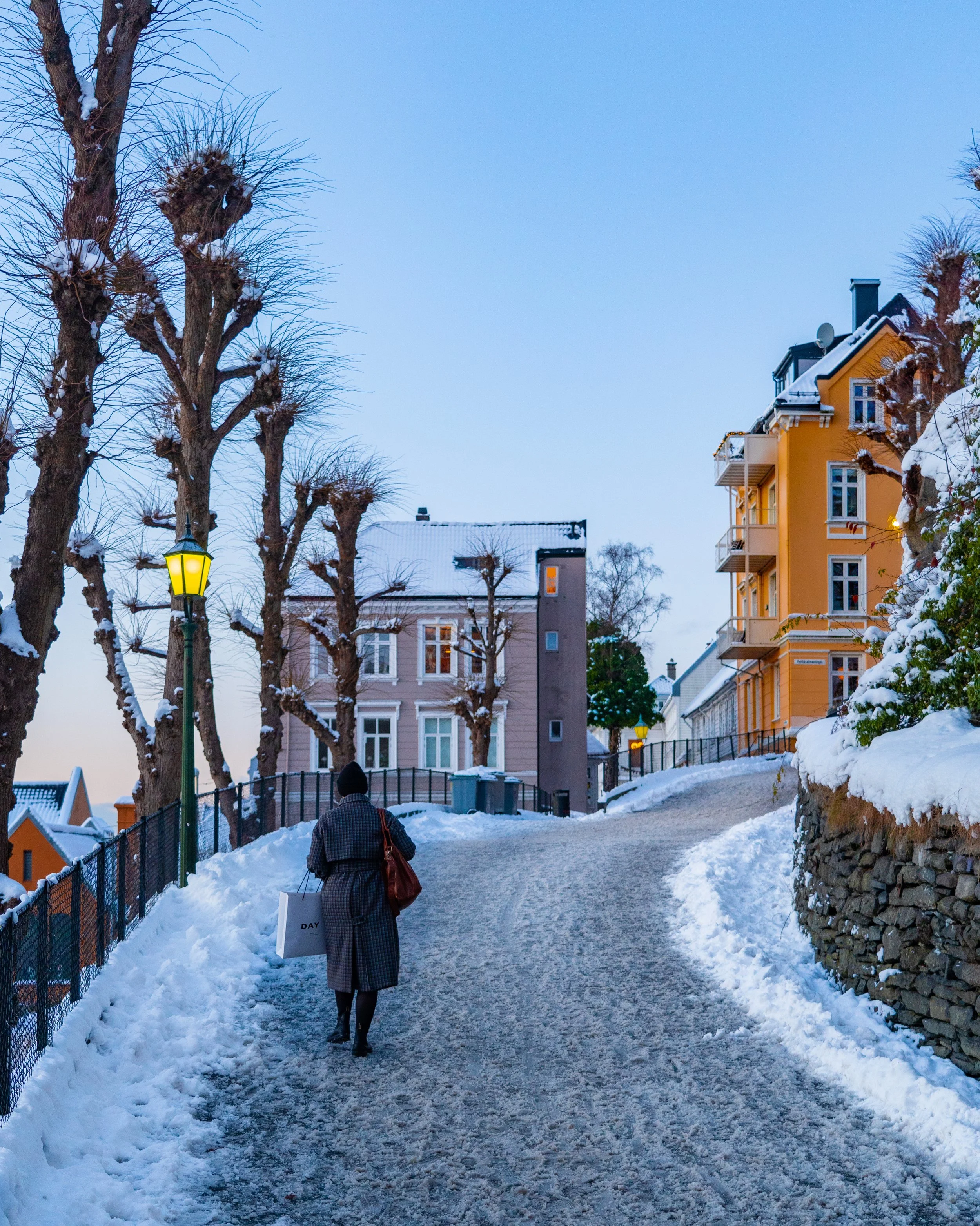 Bergensbilde. Foto: Anna T. Takle. PhotobyTakle