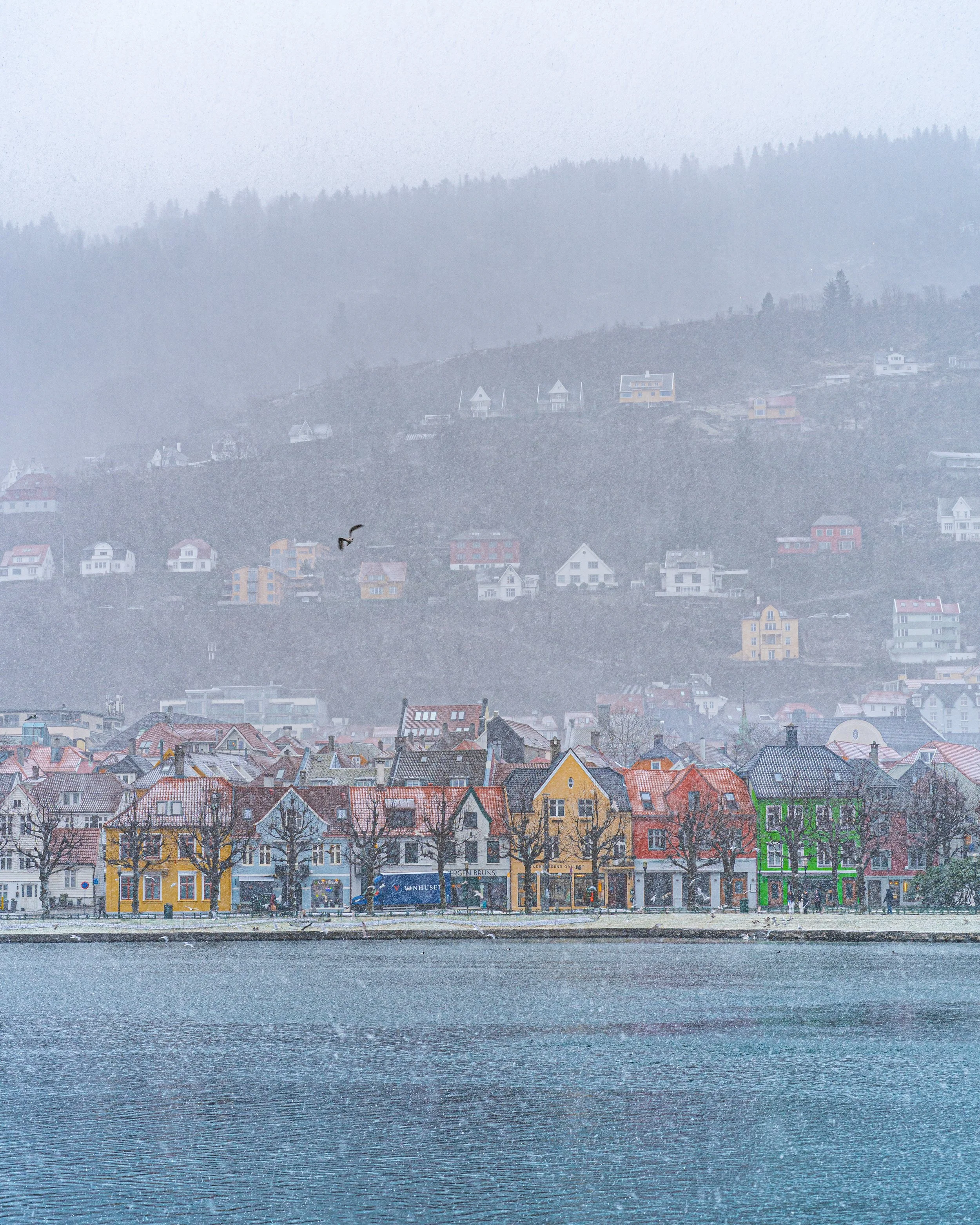 Bergensbilde. Foto: Anna T. Takle. PhotobyTakle