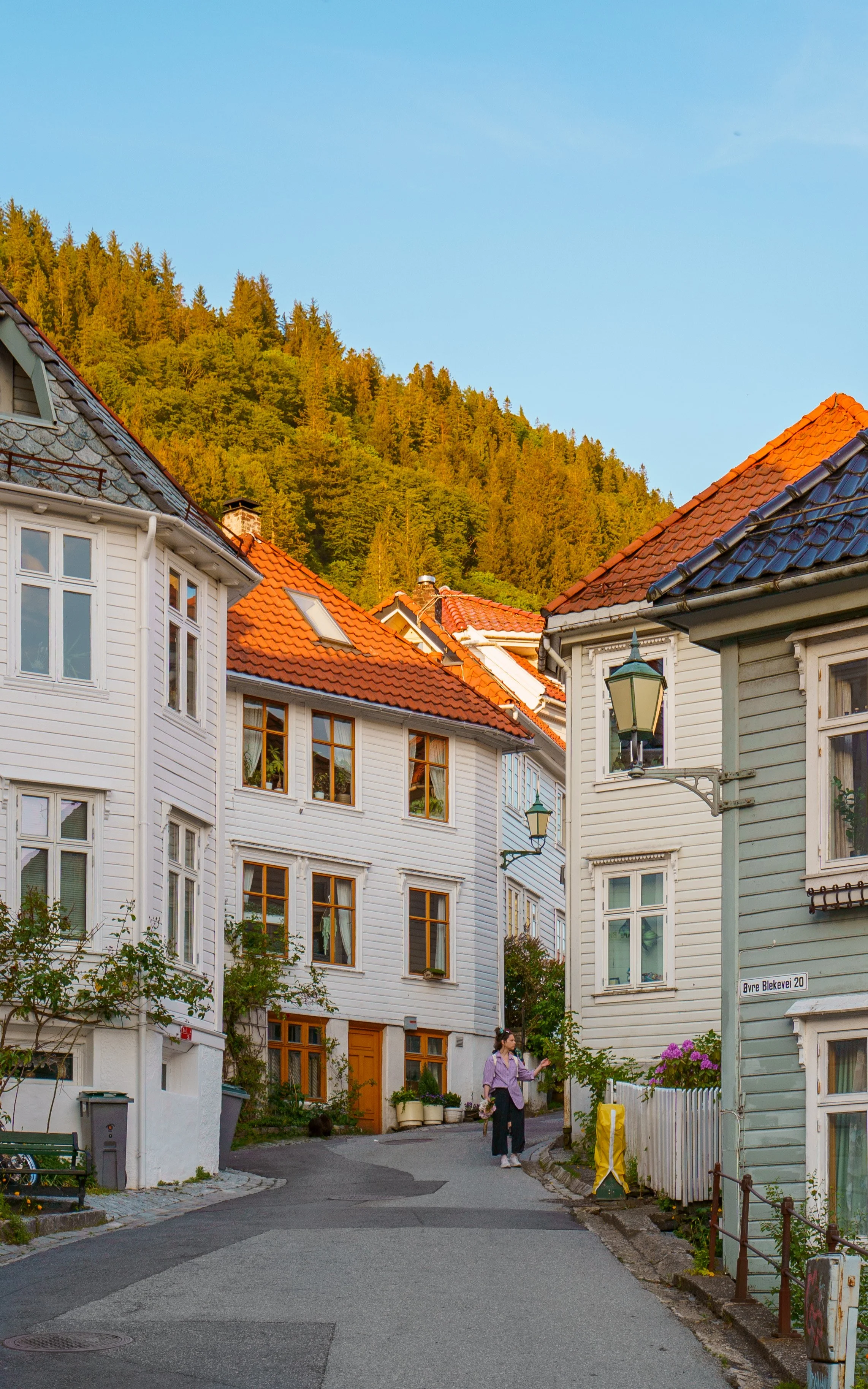 Bergensbilde. Foto: Anna T. Takle. PhotobyTakle