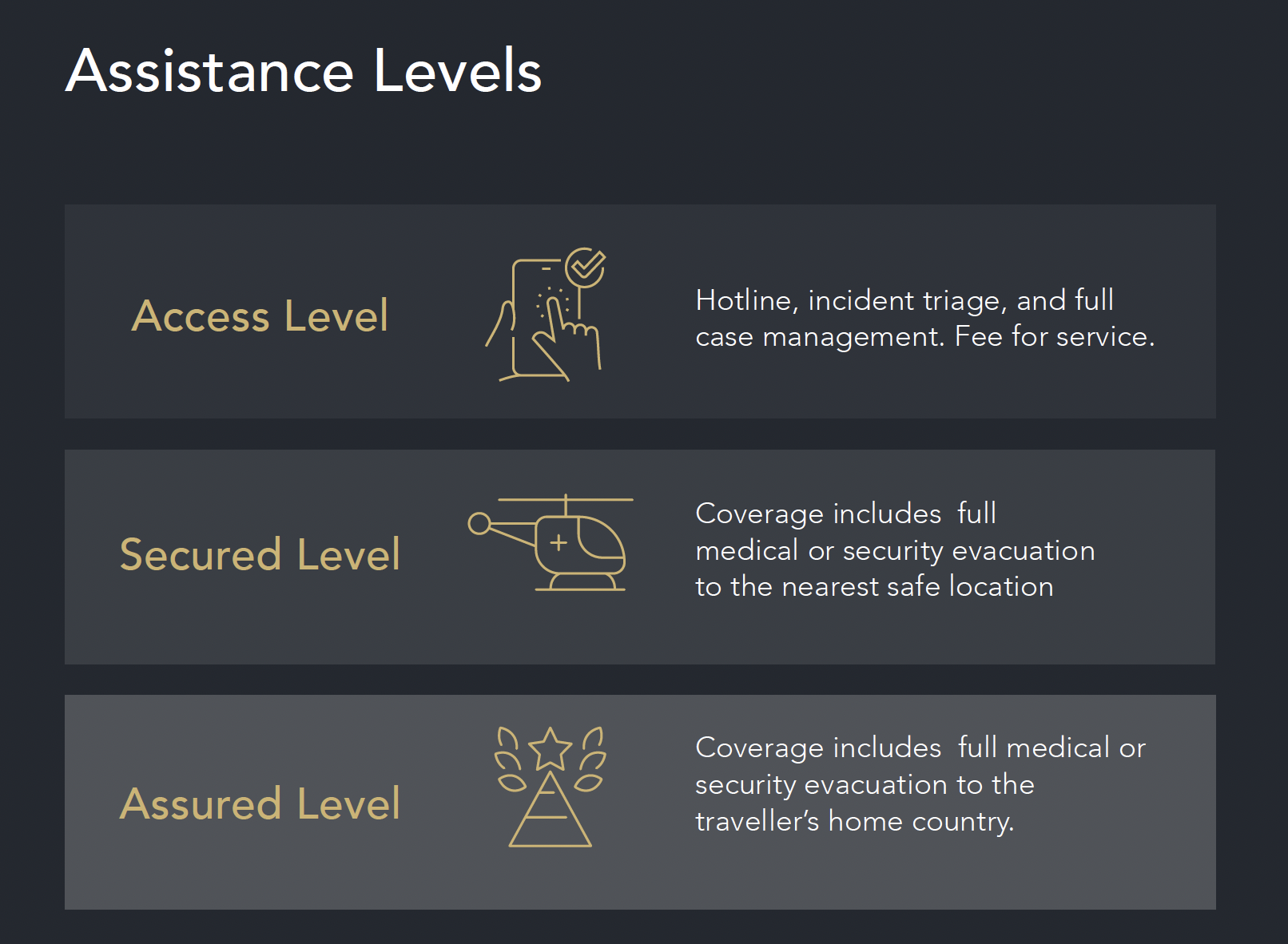 Section of a web page titled 'Assistance Levels' listing three levels of coverage: Access Level, Secured Level, and Assured Level. Each level includes a description and an icon, with the content formatted in a dark theme.