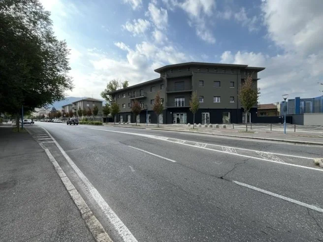 Edificio moderno su strada con poche automobili e alberi lungo il marciapiede