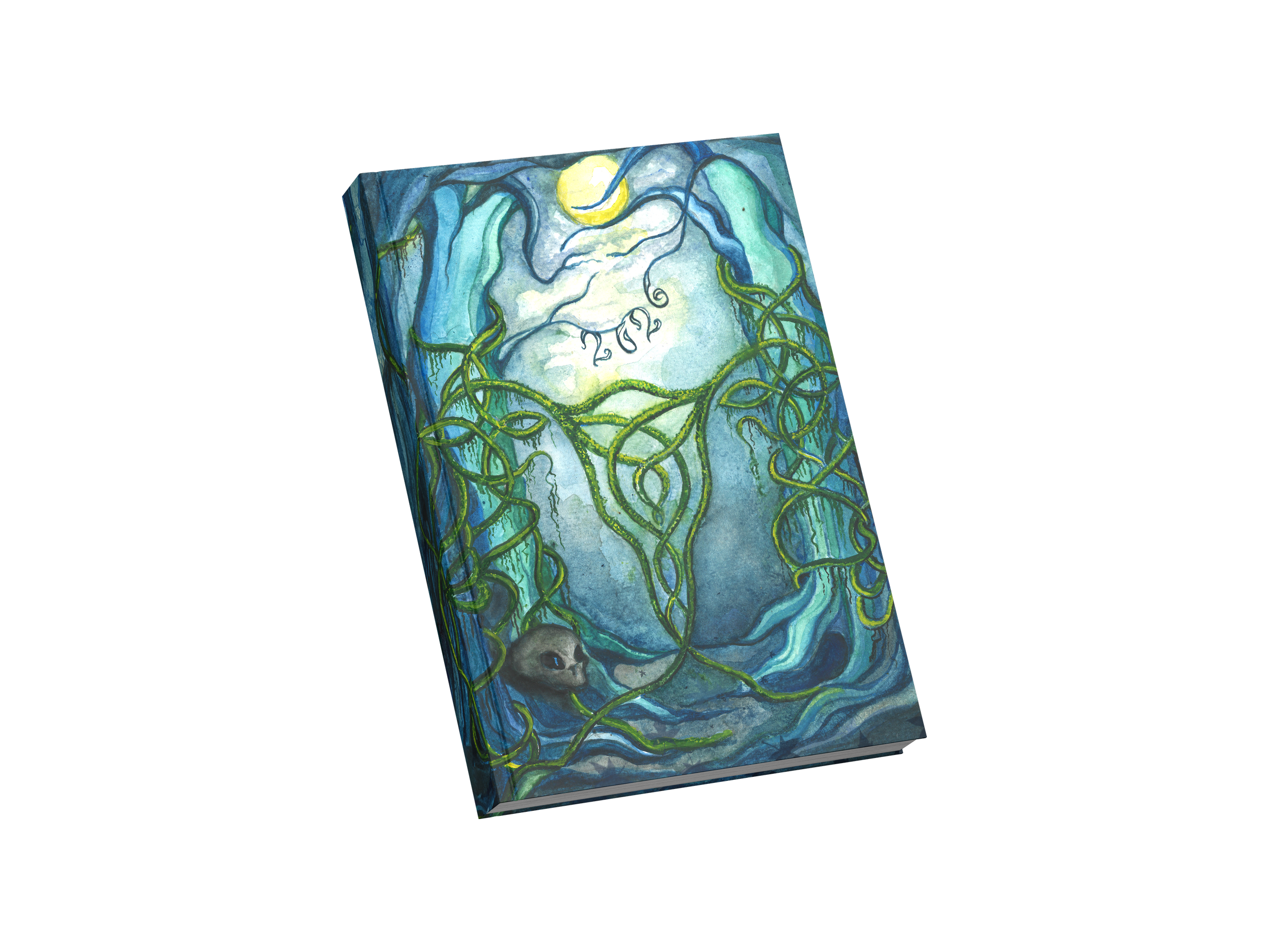 SD mockup-transparente.png