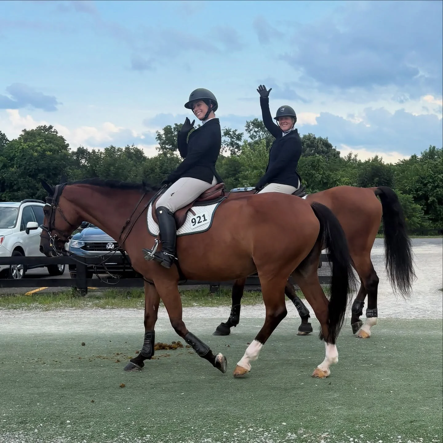 🌟 What a week for Summer Haven Stables at the Bluegrass Festival at the Kentucky Horse Park! 🌟

✨ Bailando and Bon Voyage rose to the occasion in their Green Incentive classes with beautiful, confident rounds. Both horses were absolute stars, and o