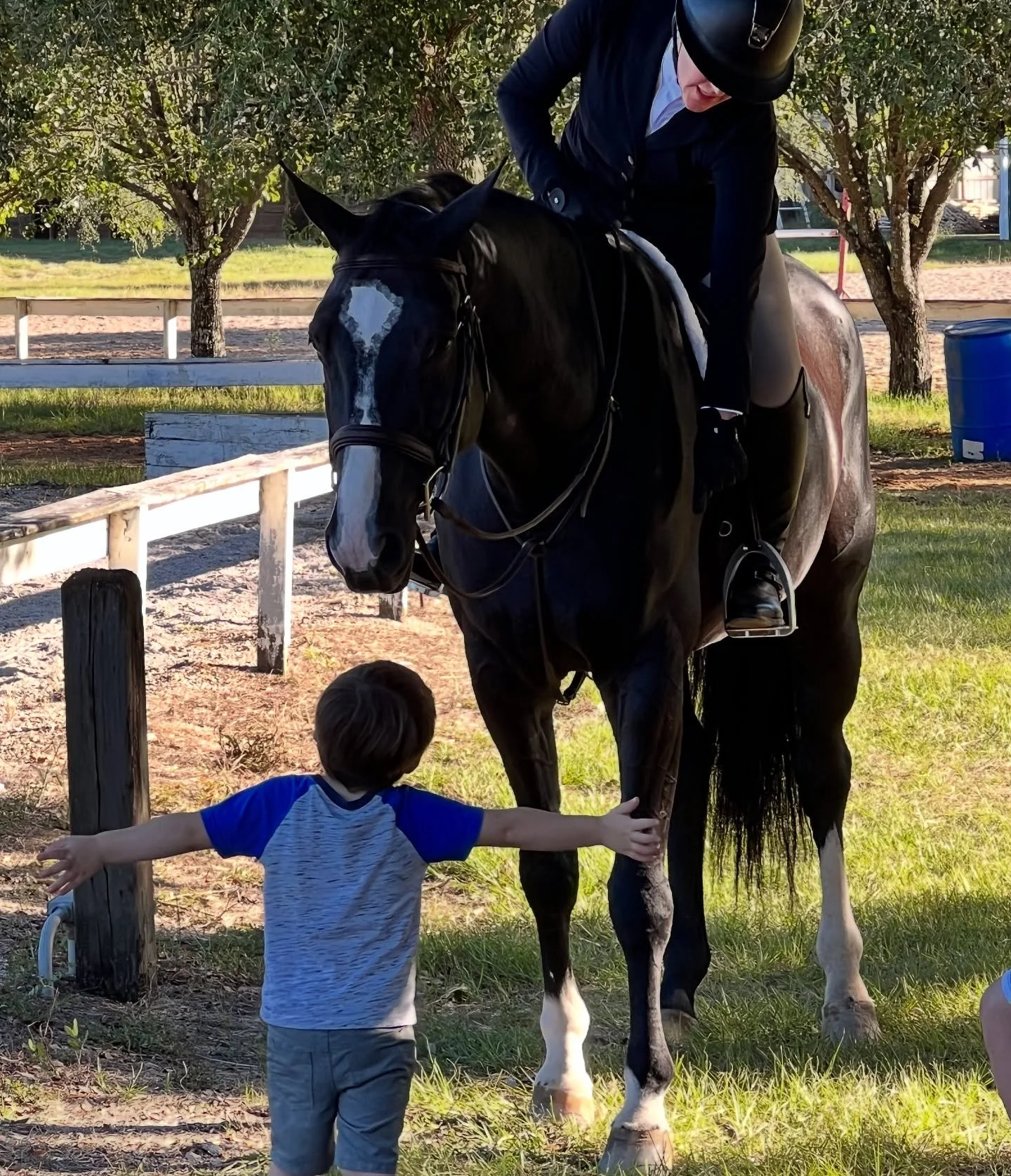 🍂✨ It&rsquo;s almost here - our favorite time of year! ✨🍂

Mark your calendars for October 10&ndash;12 because the LHJA Member Appreciation Double Point Show is right around the corner, and it&rsquo;s shaping up to be the best one yet.

We can&rsqu