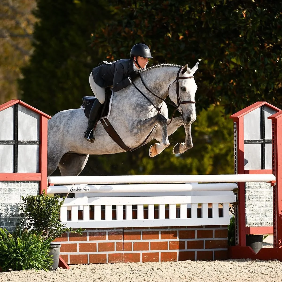 ✨ Week 1 at the Gulf Coast Classics &mdash; what a start! ✨

We&rsquo;re incredibly proud of our riders and horses for an outstanding opening week filled with championships, top placings, and major milestones. Congratulations to everyone on their suc