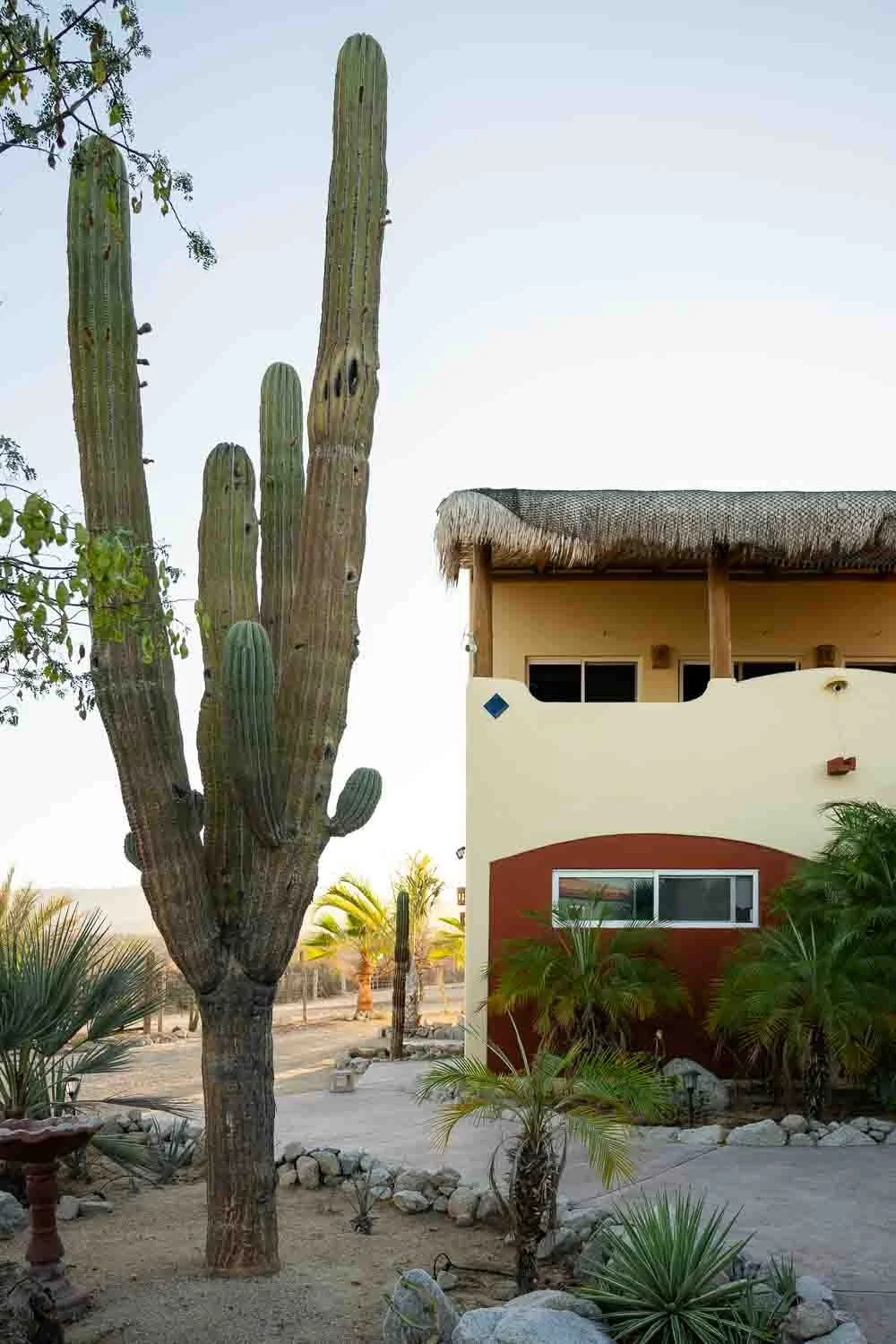 Elephant Tree Inn Real Estate Photography - Falena.Studio-13.jpg