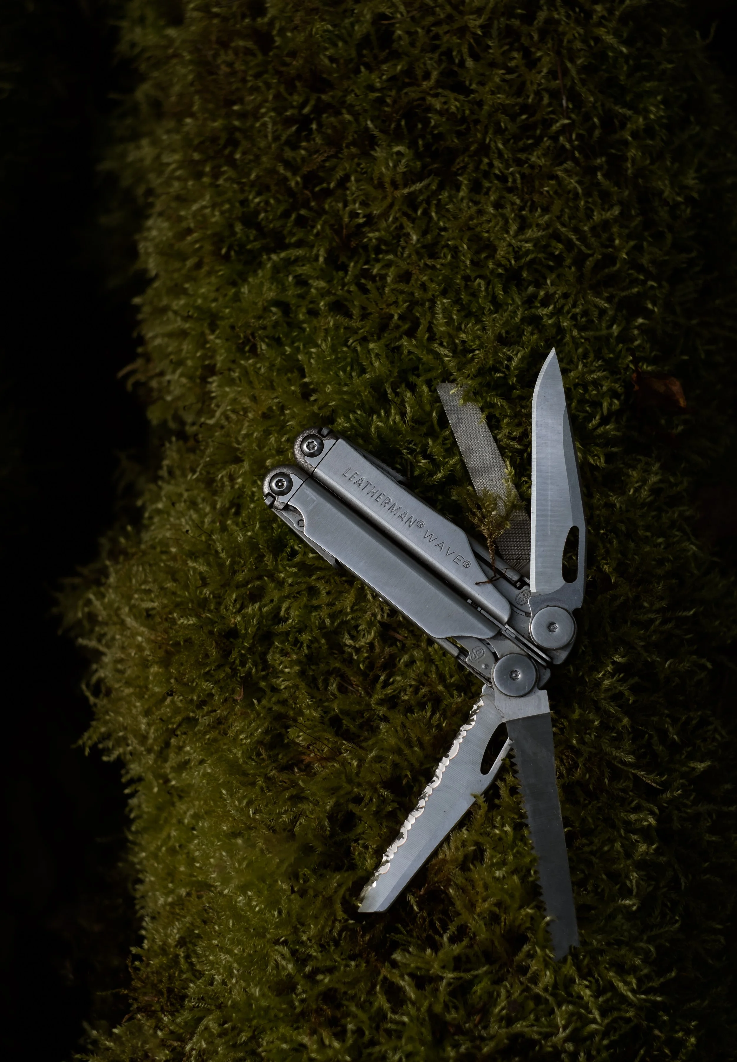 DSCF5656-2.jpg
