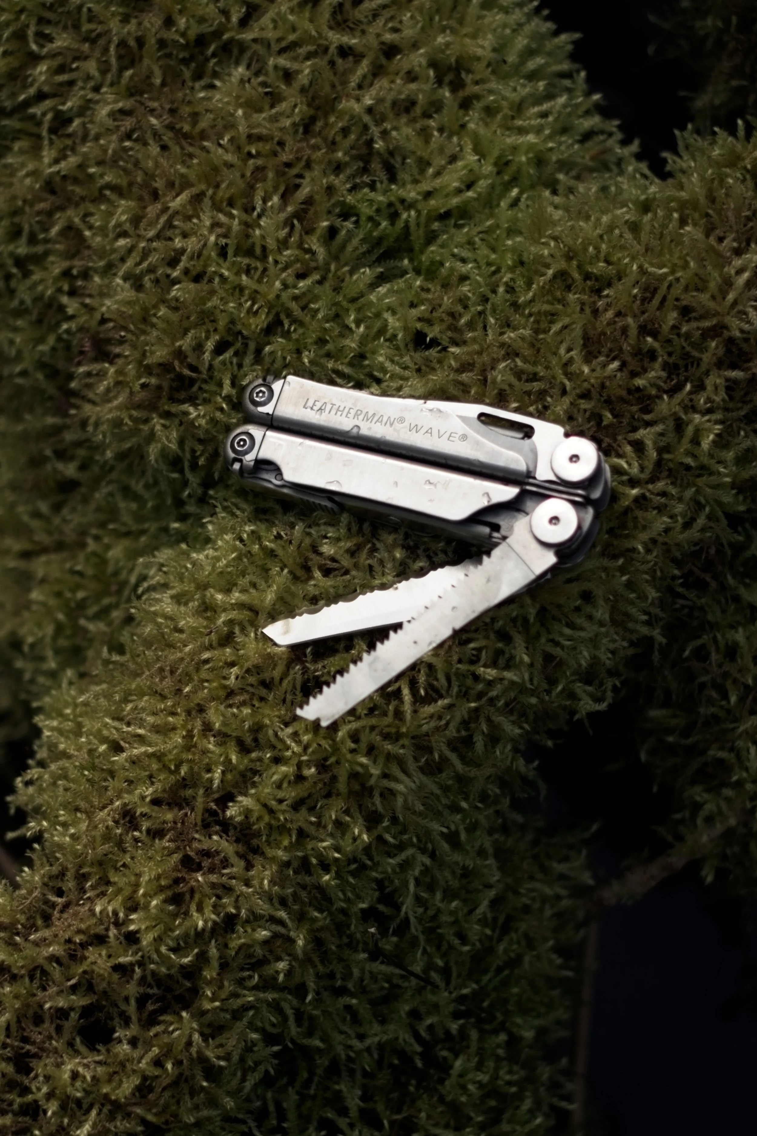 DSCF5666.jpg
