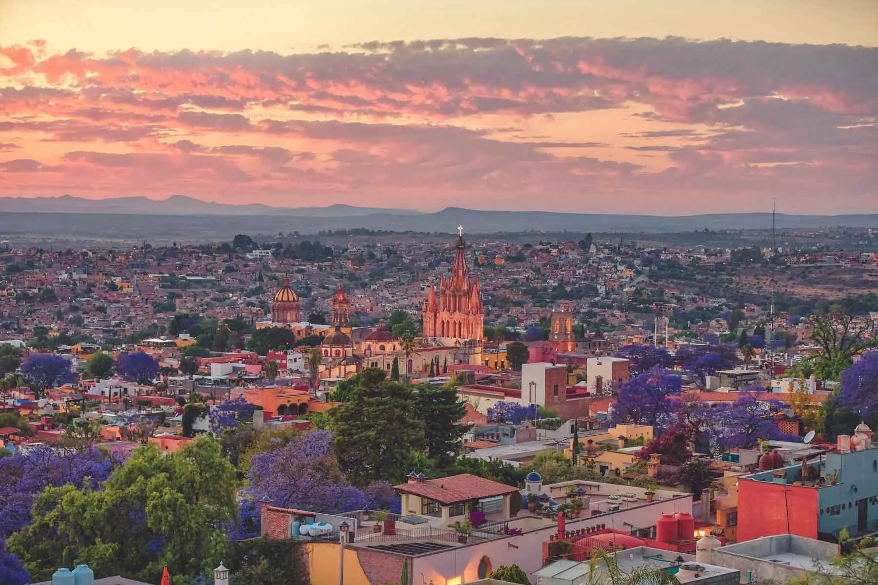 Sunset views of Centro with Jacarandas.jpg