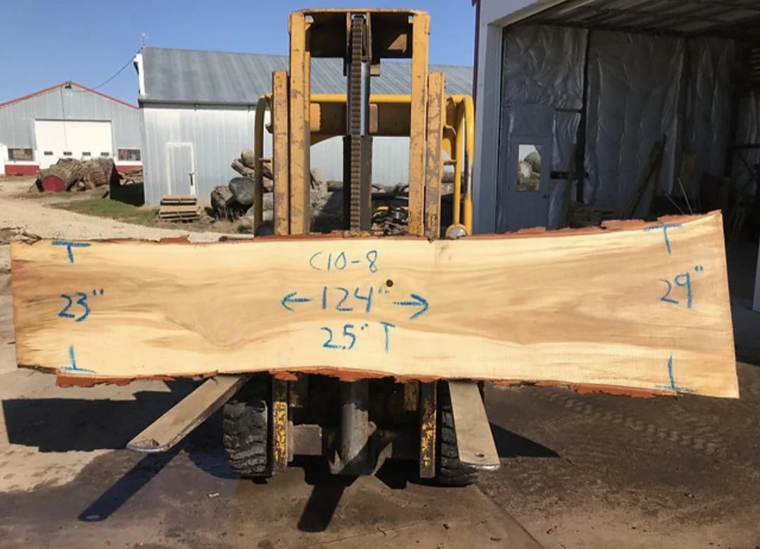Cotton wood.jpg