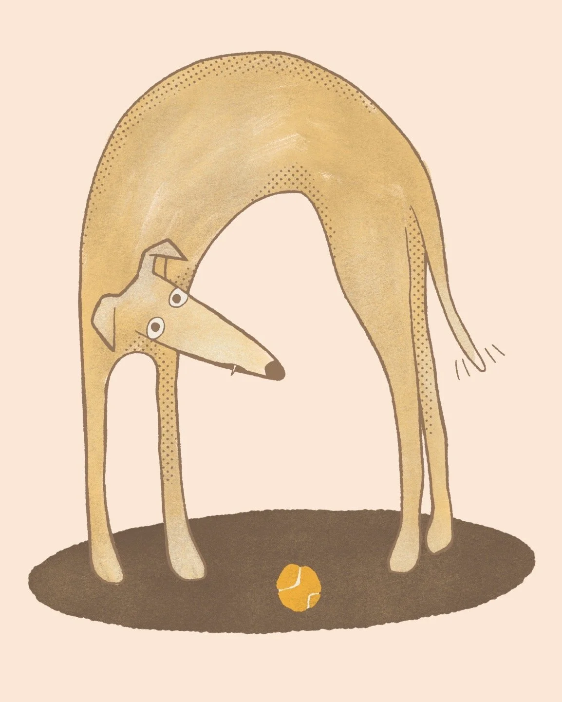 ball-dog.jpeg