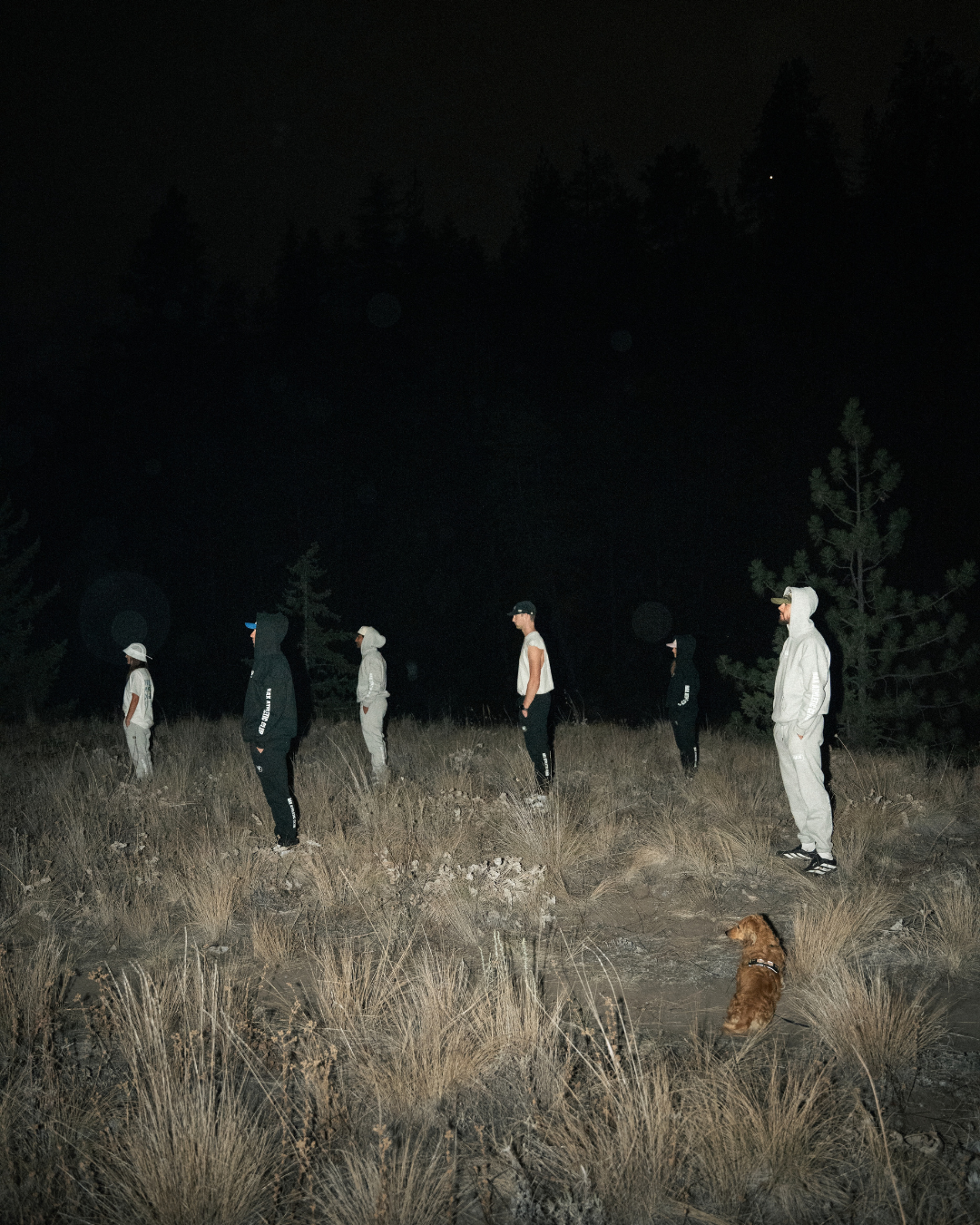 51.png
