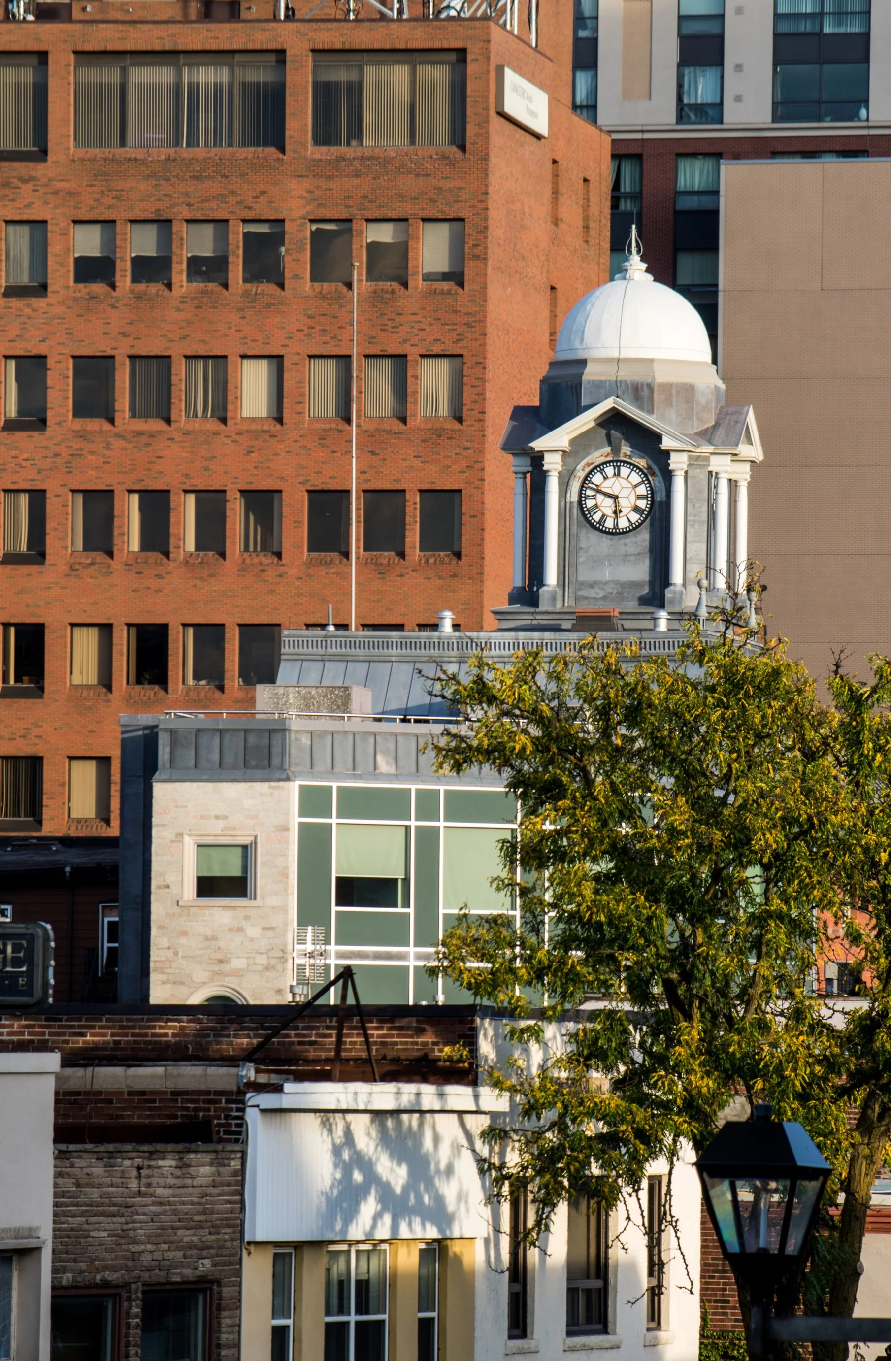 brampton property management for renters