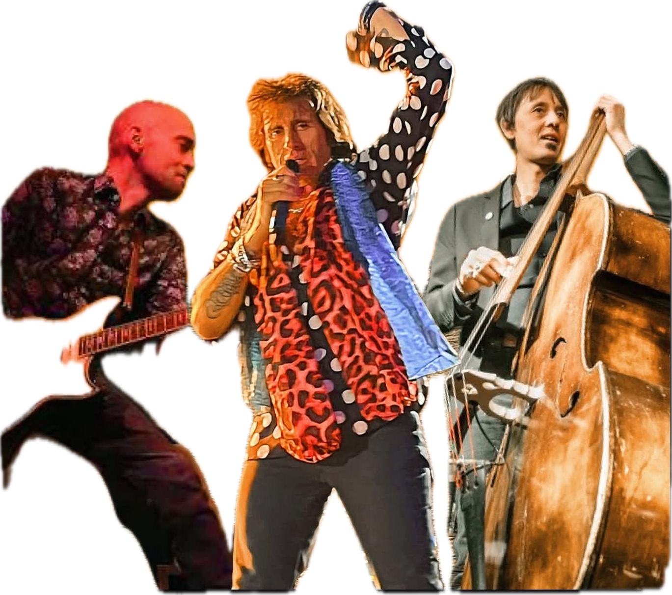 Live band - The Summer Kings