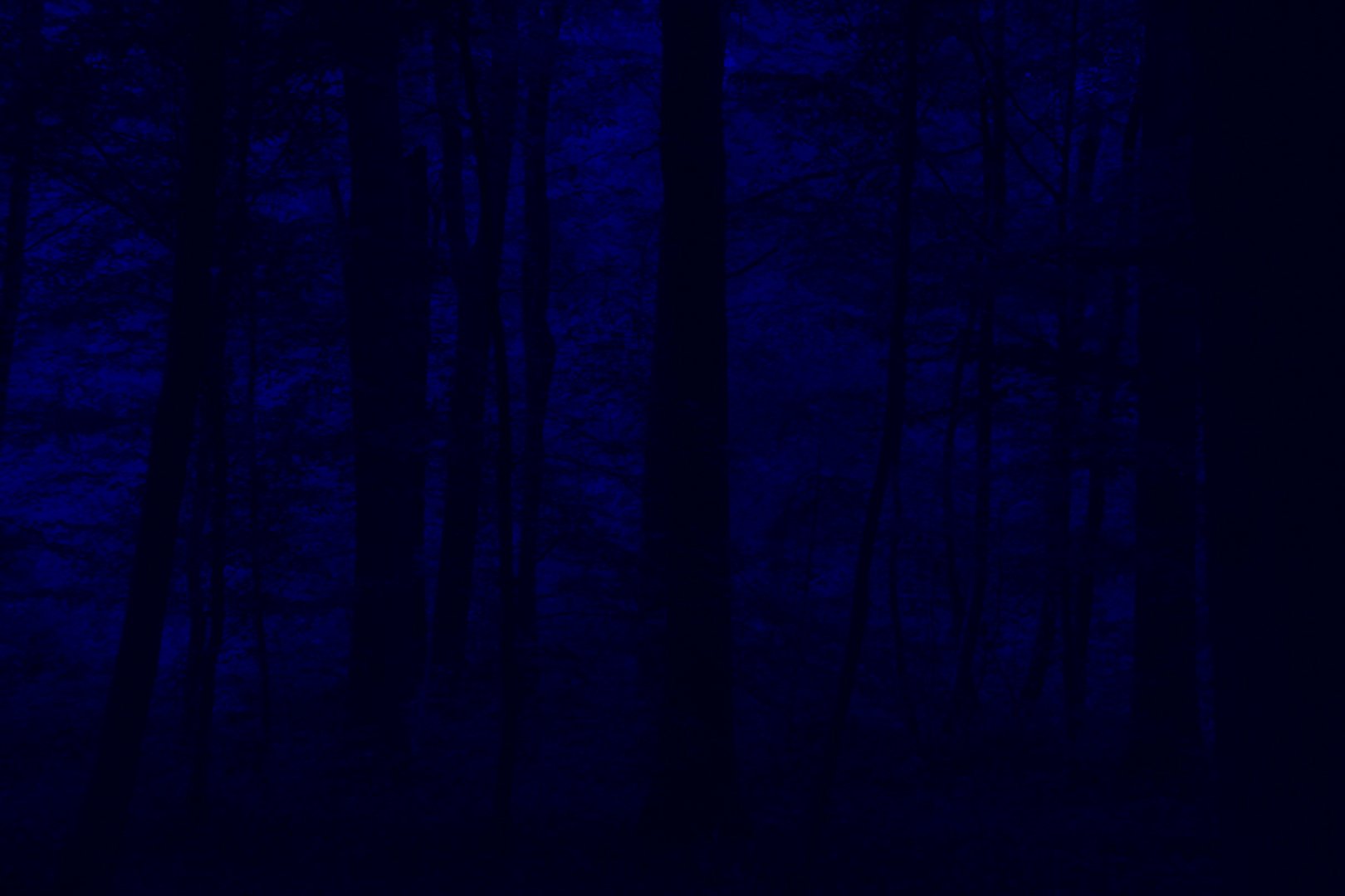 VESTIGES_1.1.10.jpg