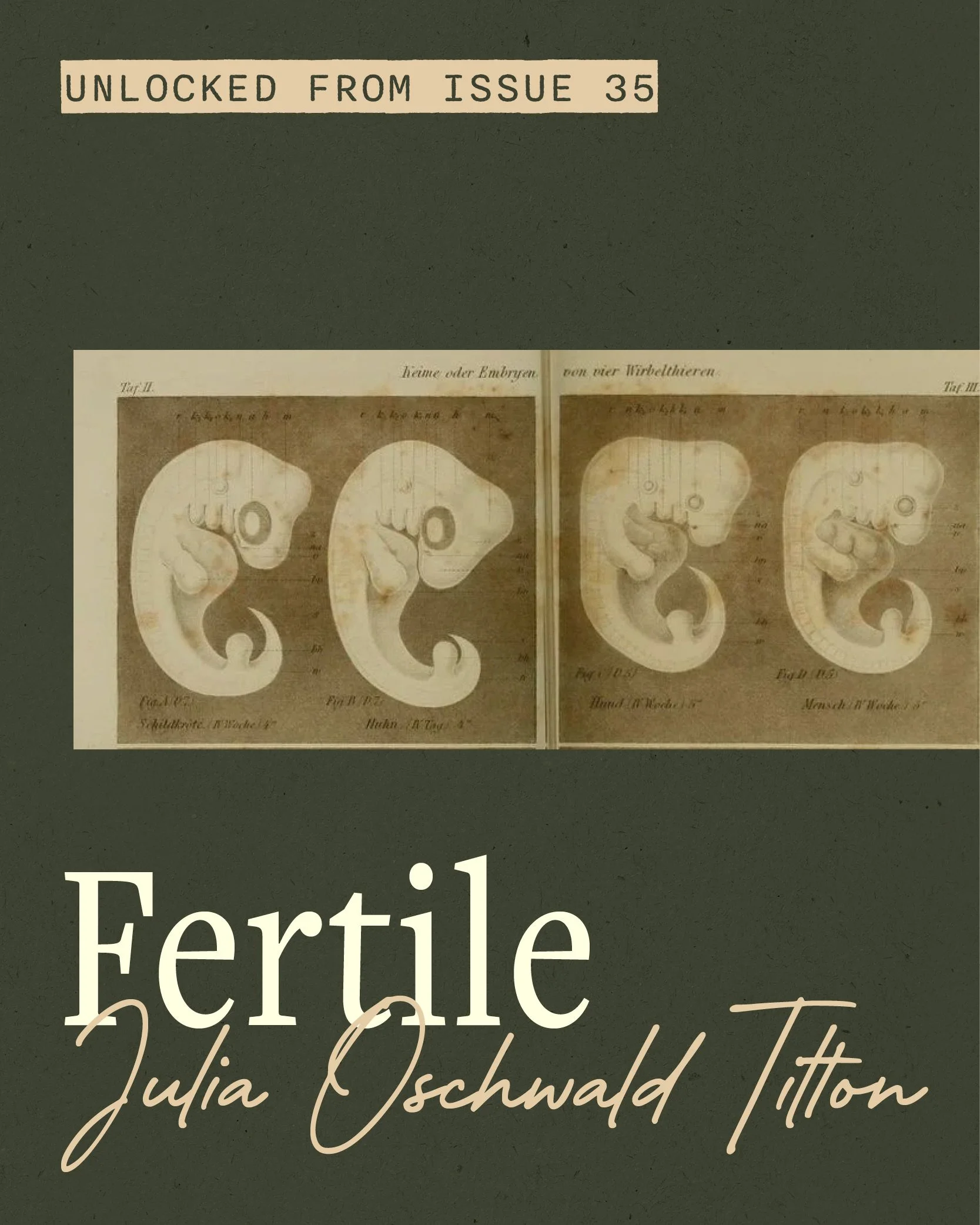 April 2026_Fertile IG 1.jpg