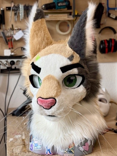 IMG_4676 Medium.jpeg