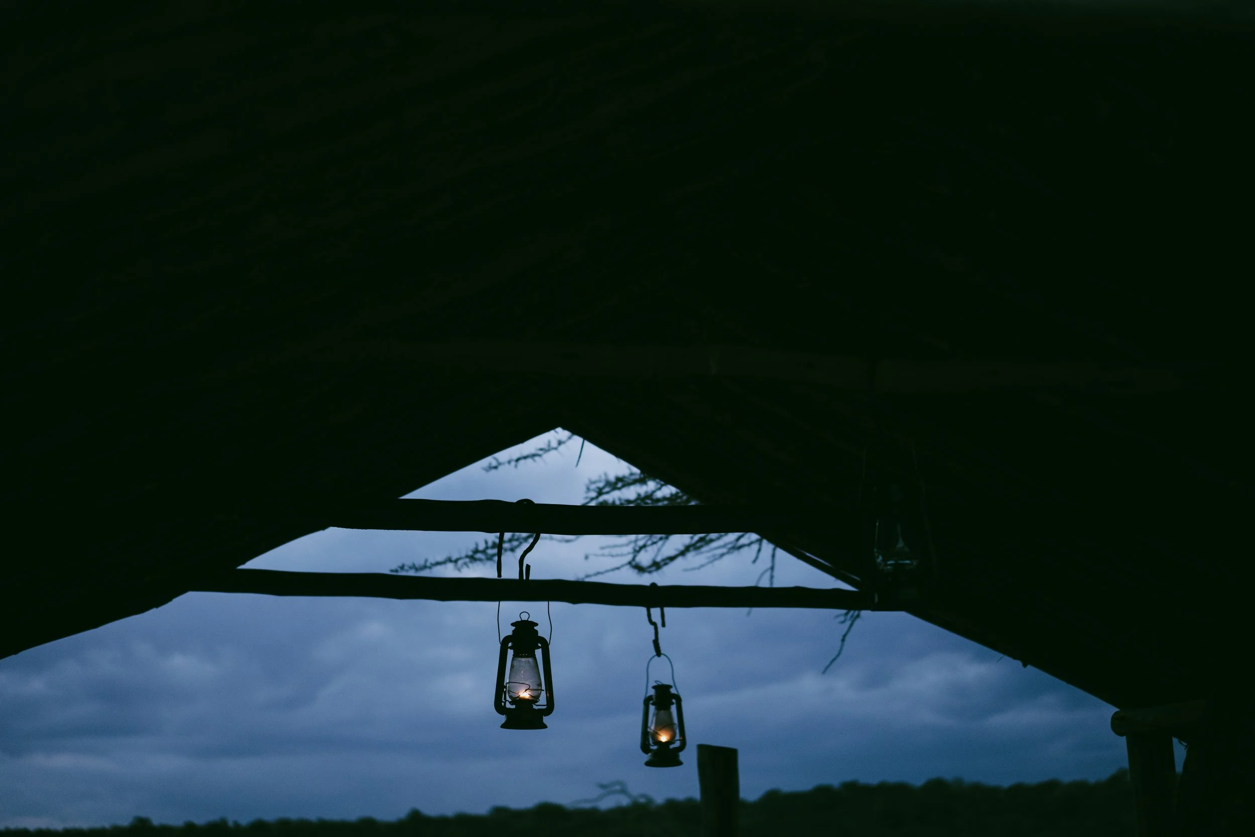 CalvertSafari-07010.jpg