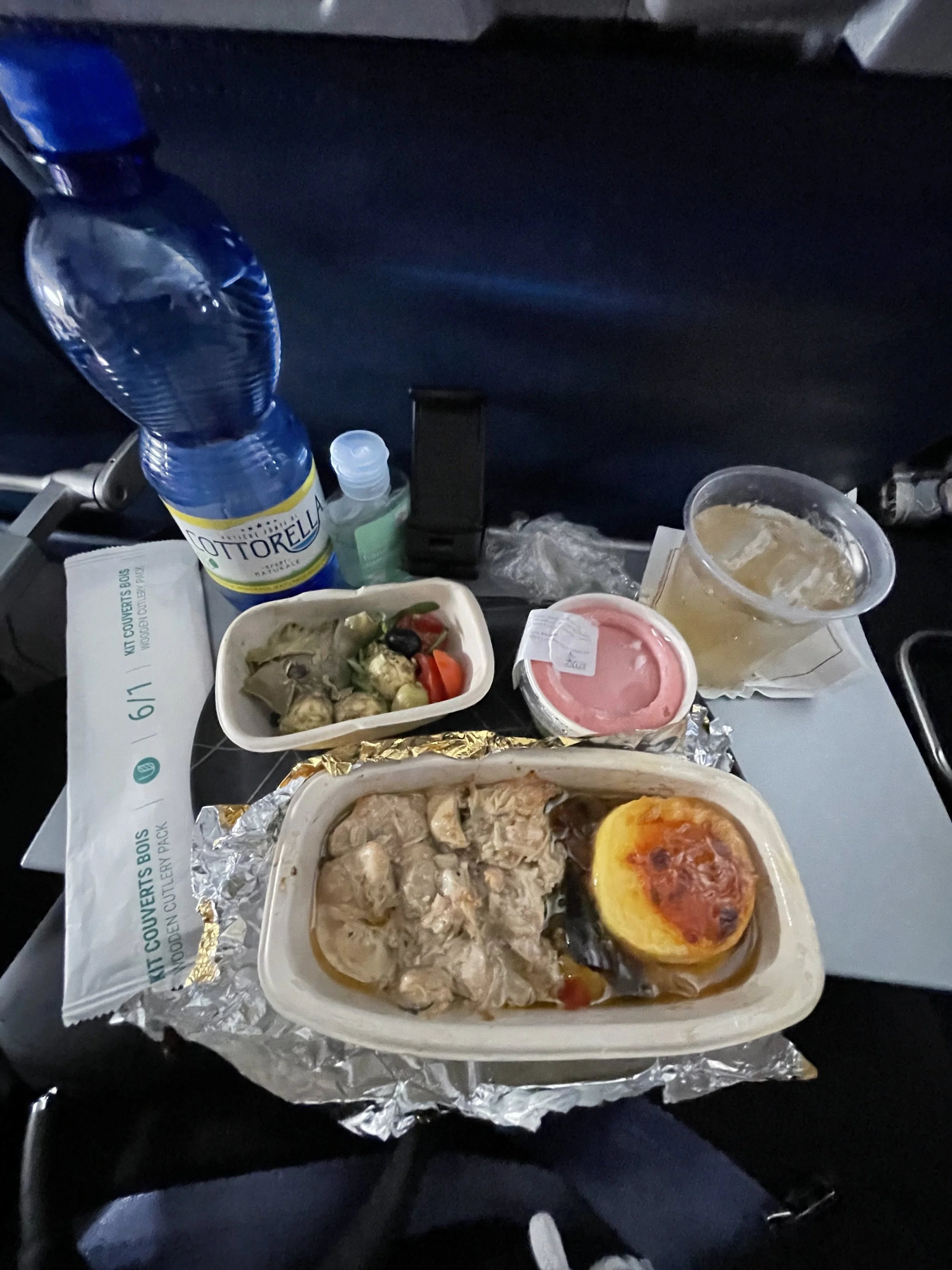 in flgiht chicken dish on delta 10 hour flight from rome to NYC JFK