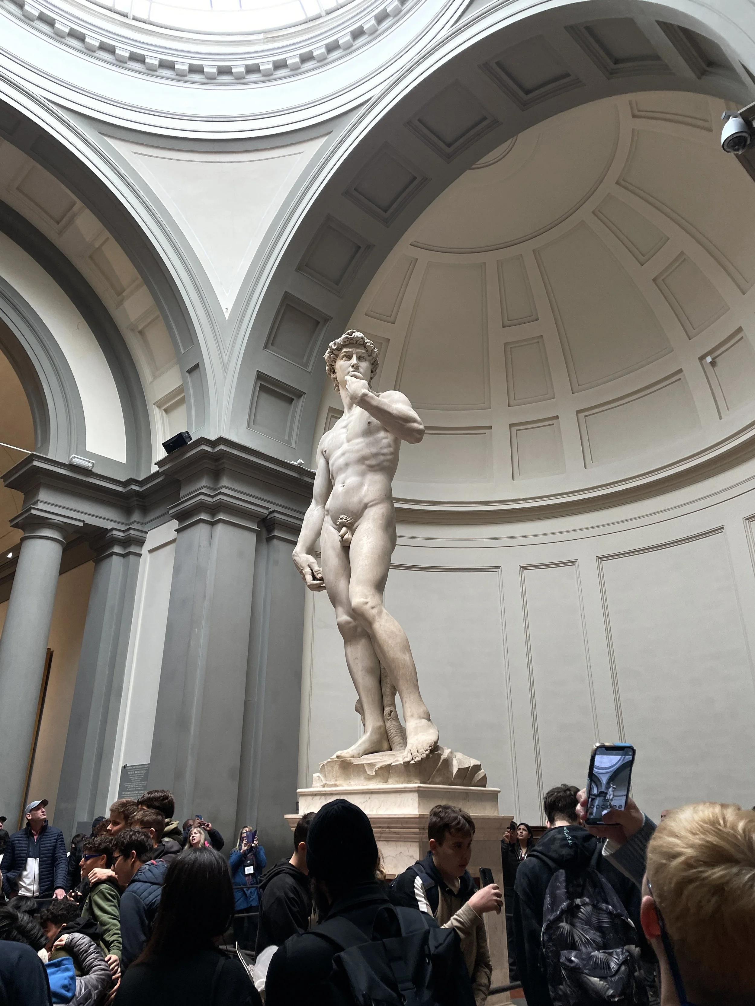 michelanglo's david in accademia gallery florence italy