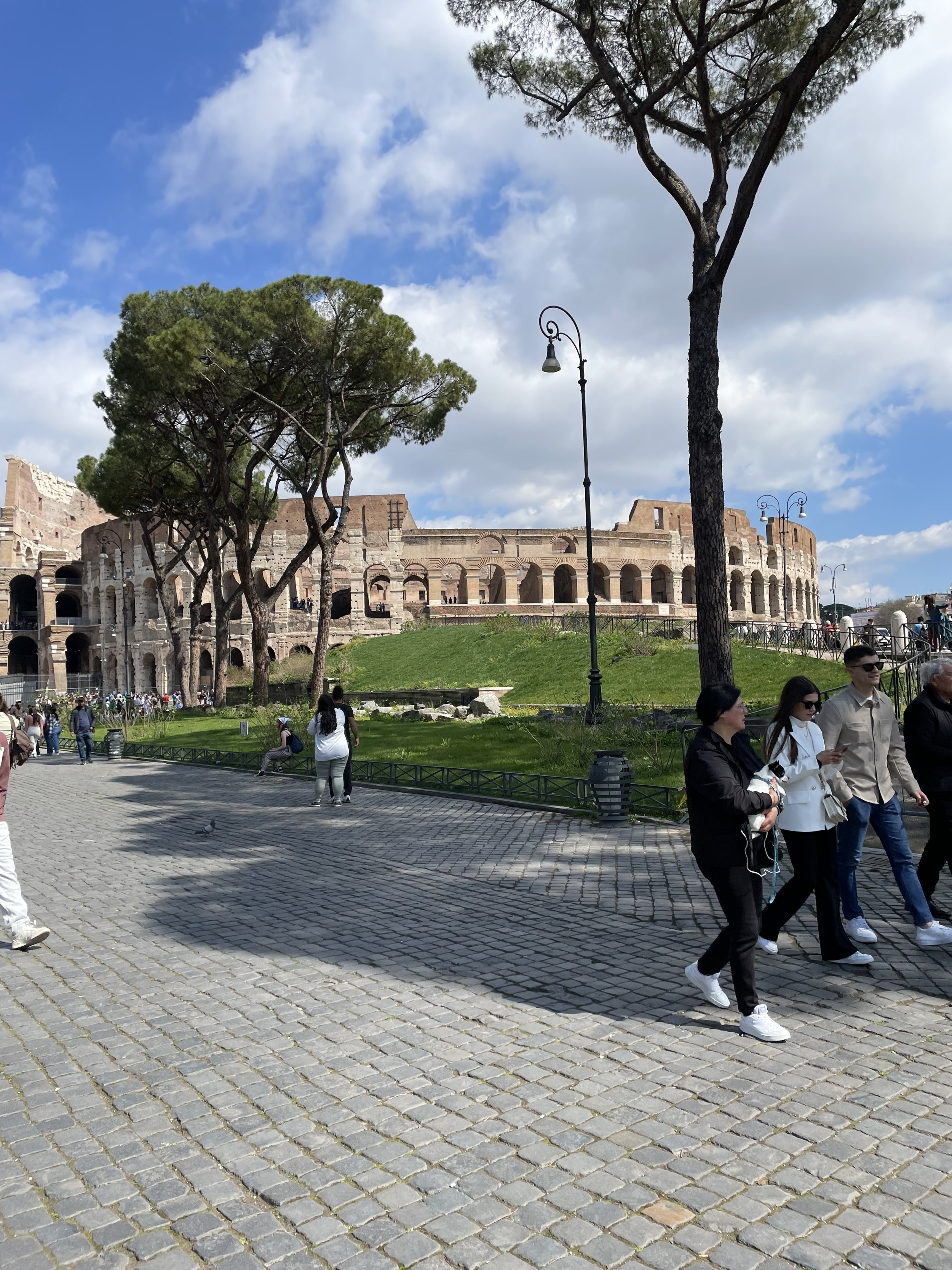 the colosseum in rome italy