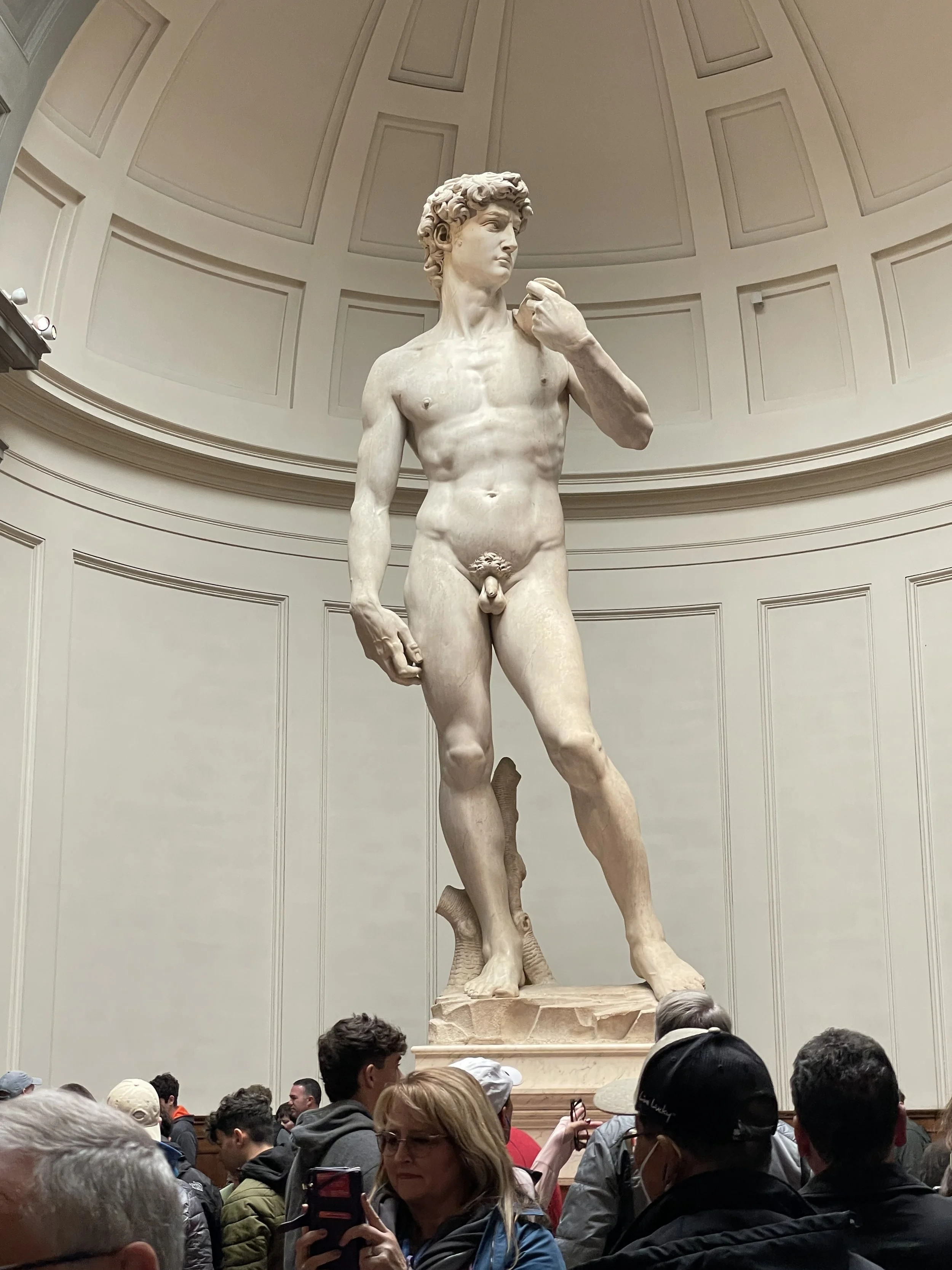 michelanglo's david in accademia gallery florence italy