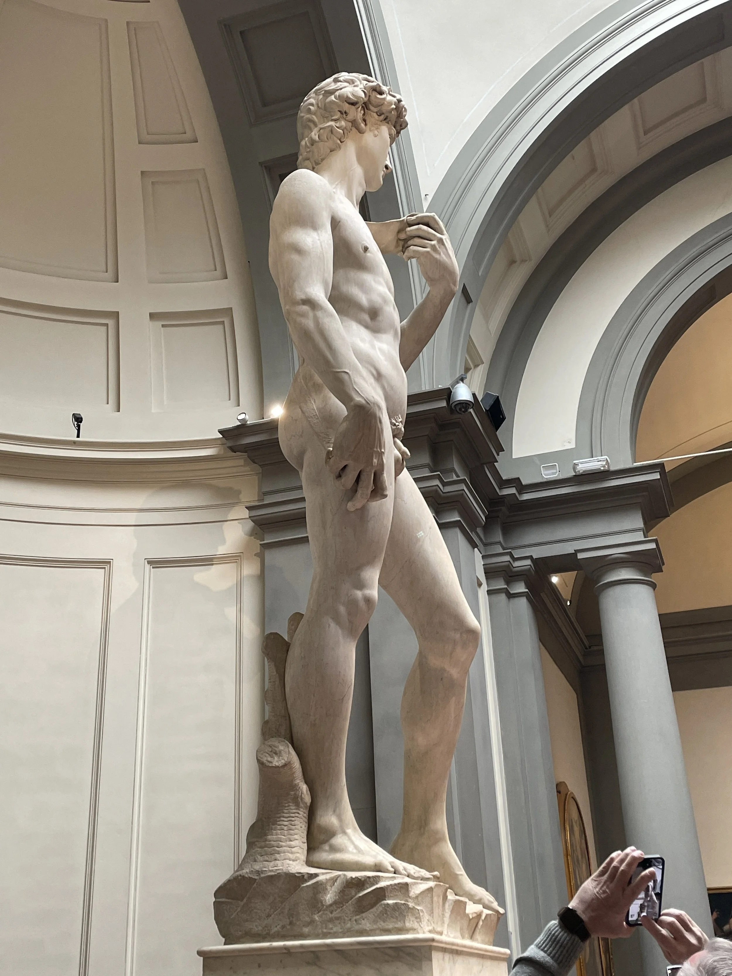 michelanglo's david in accademia gallery florence italy